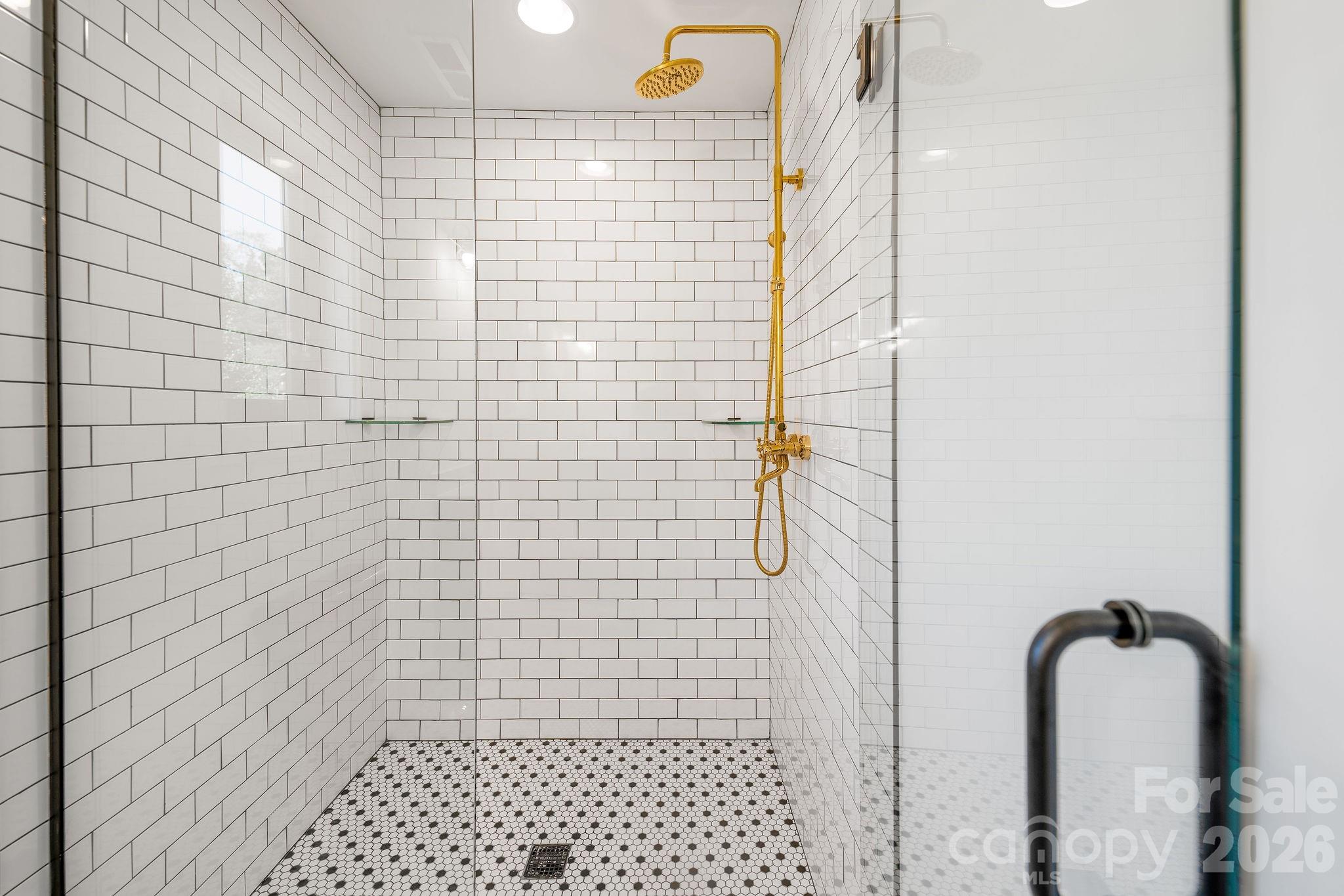 Incredible Walk-in Shower - 138 Shiloh Road, Asheville