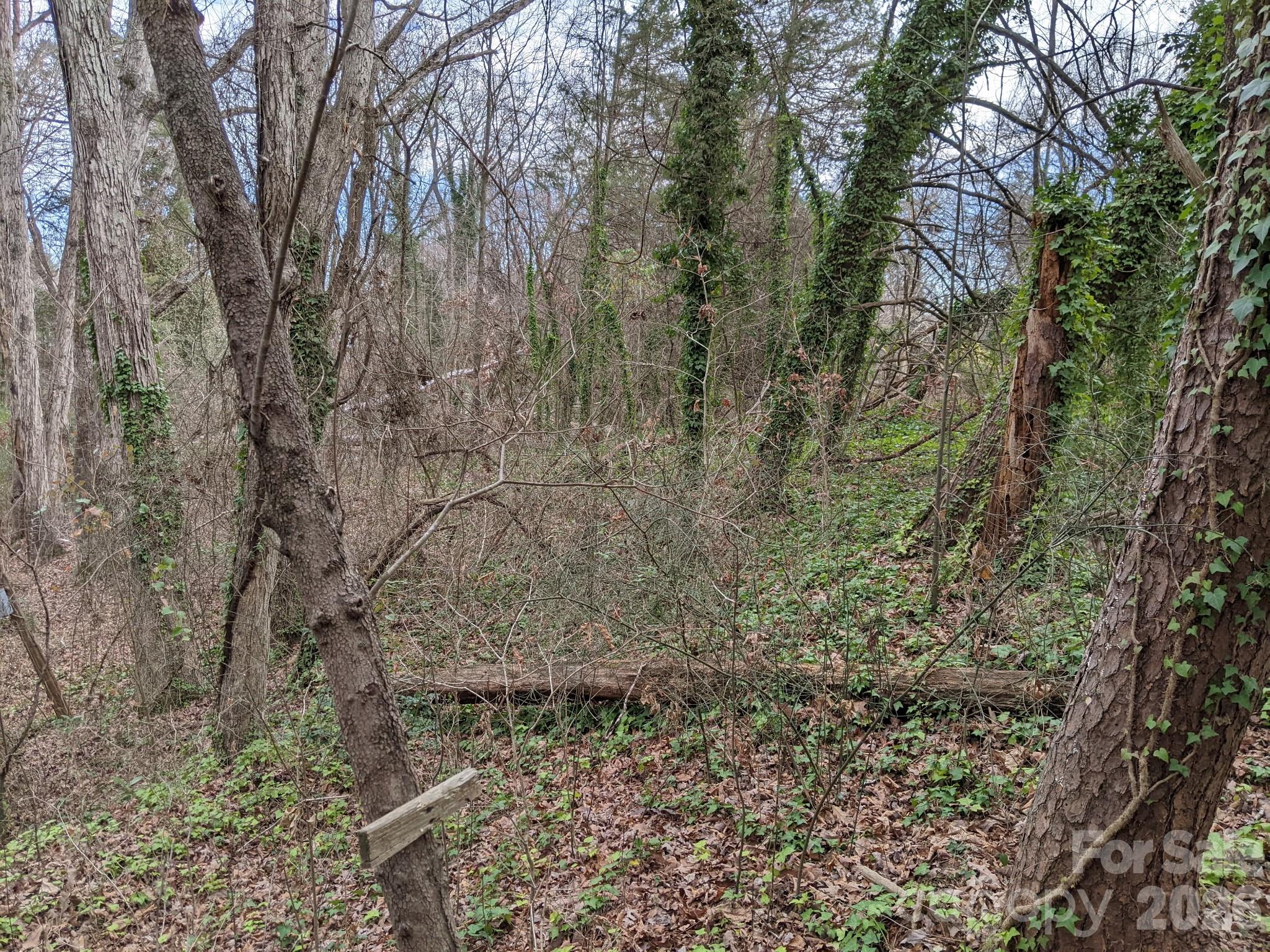 Lot at 298 Elysian Drive, Mooresville, photo 3 of 6