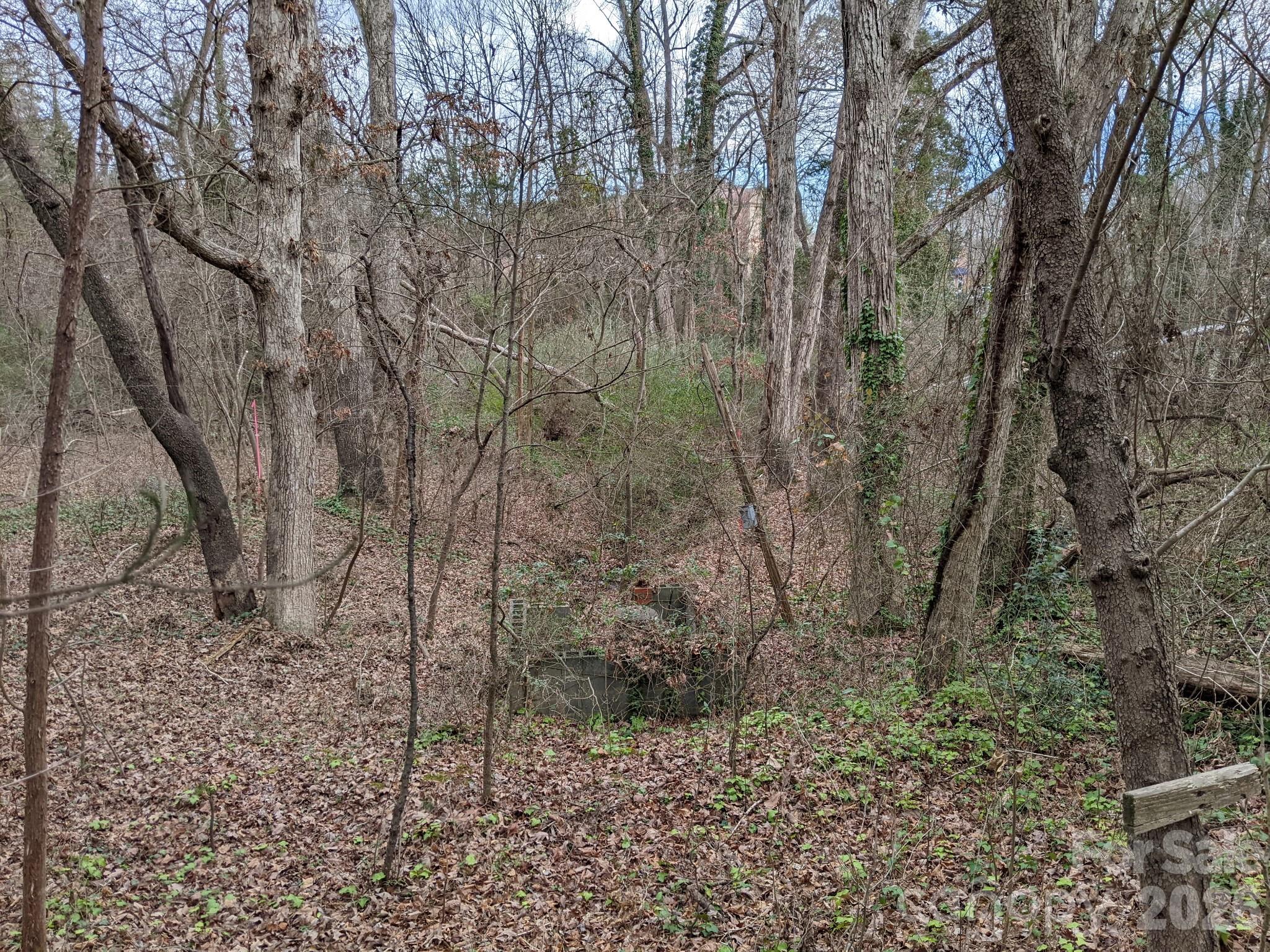 Lot at 298 Elysian Drive, Mooresville, photo 4 of 6