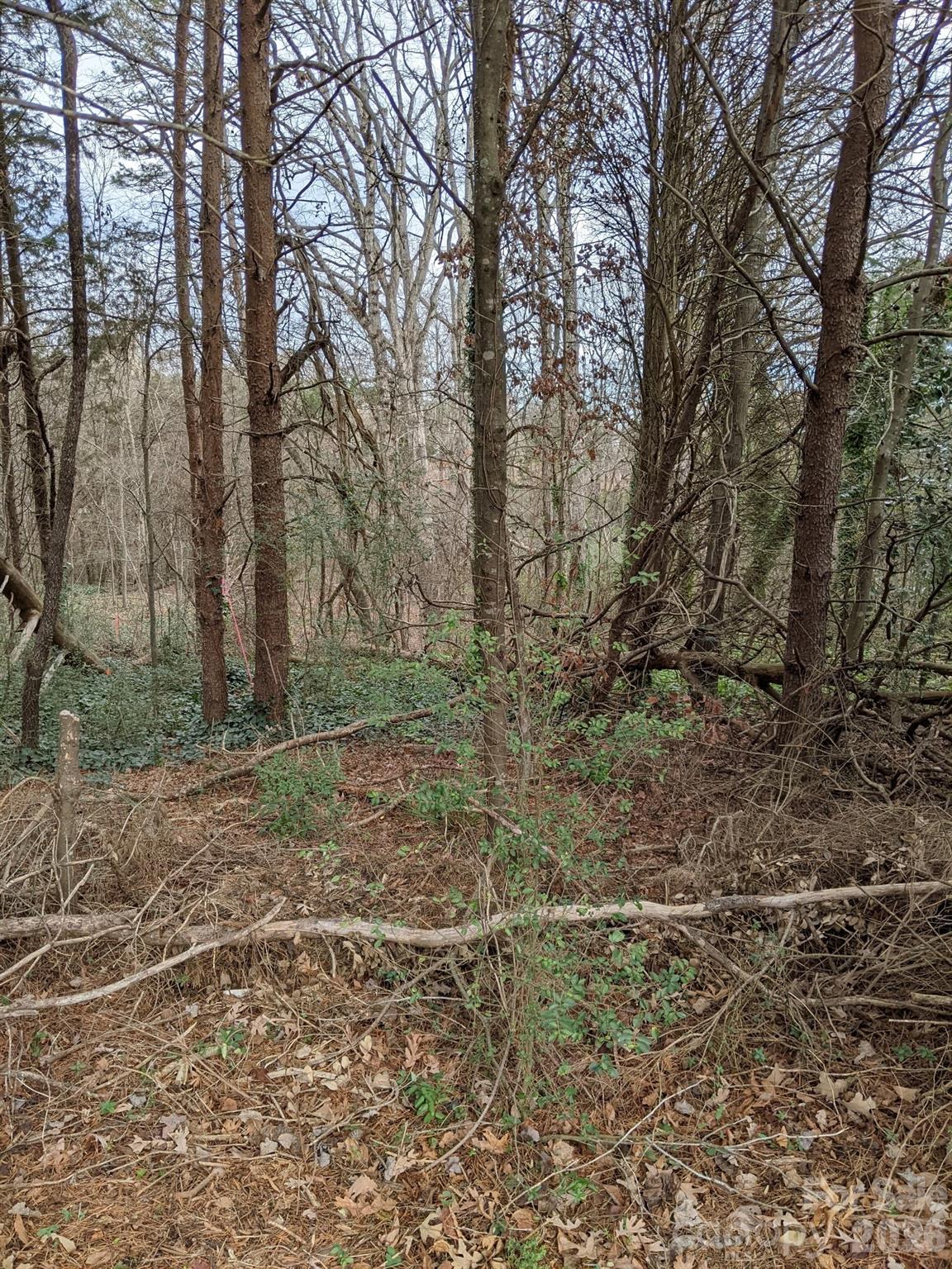 Lot at 298 Elysian Drive, Mooresville, photo 5 of 6