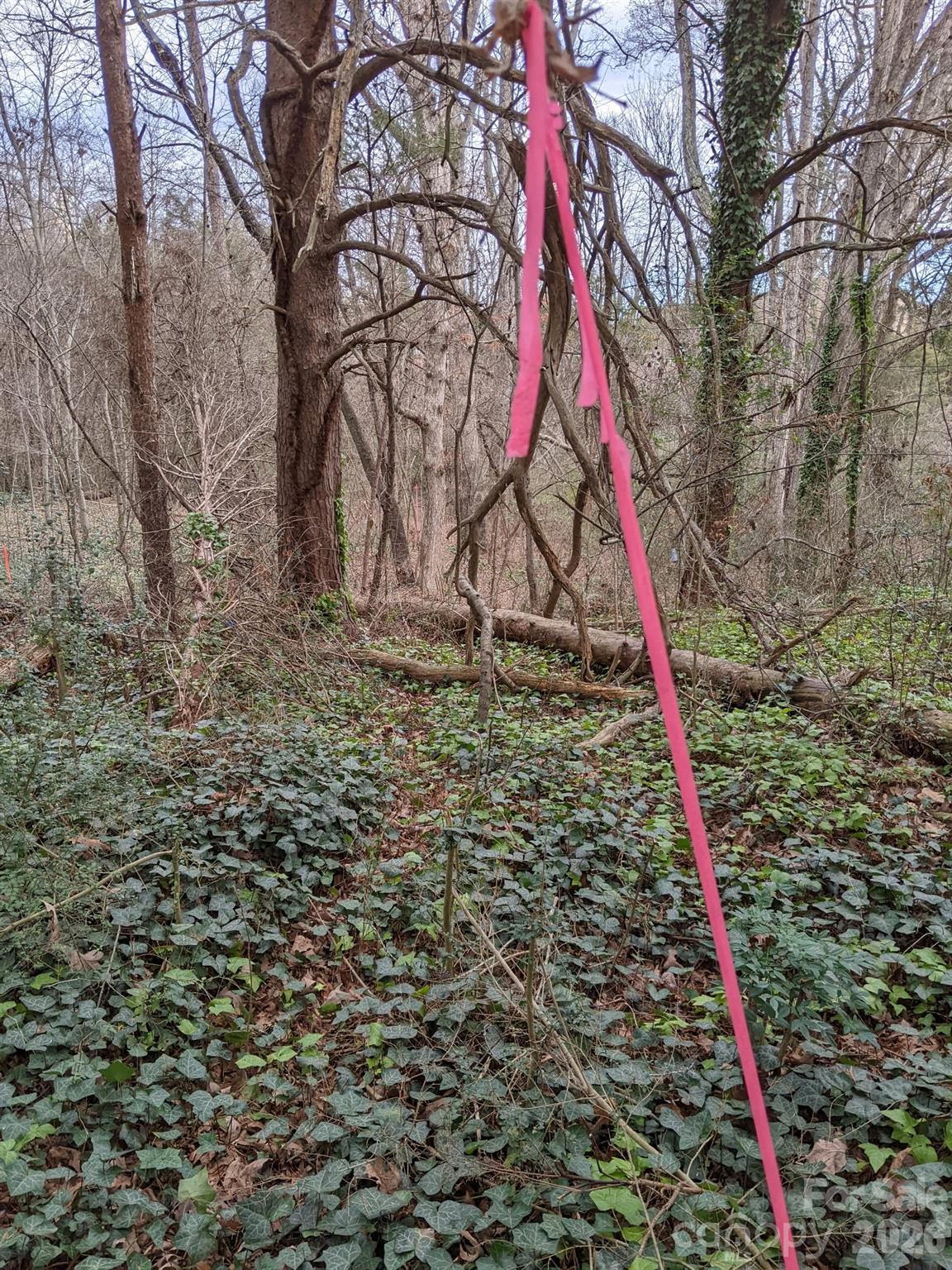 Lot at 298 Elysian Drive, Mooresville, photo 6 of 6