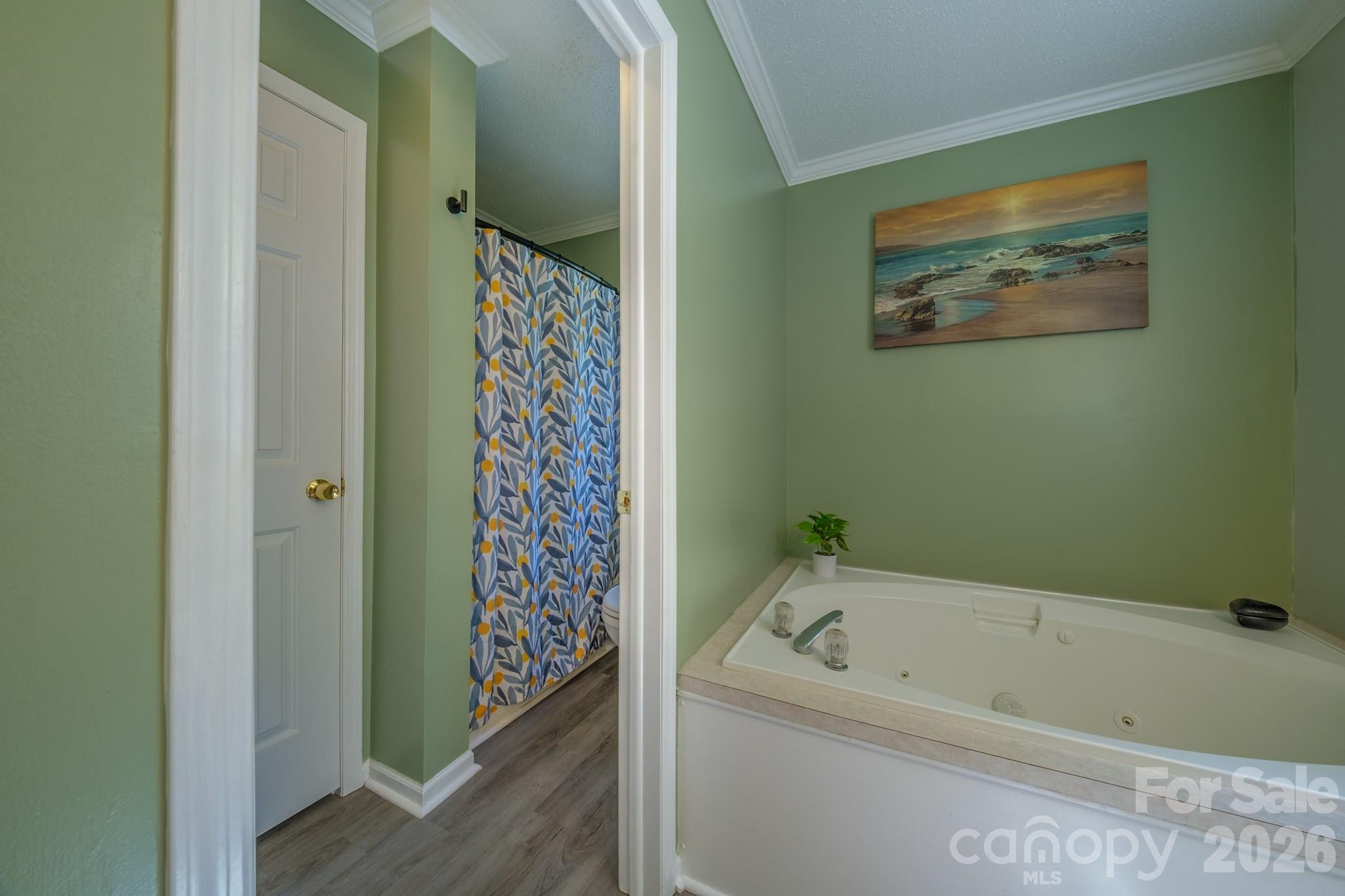 Single Family Residence at 117 Penicillin Point, Troutman, photo 12 of 44