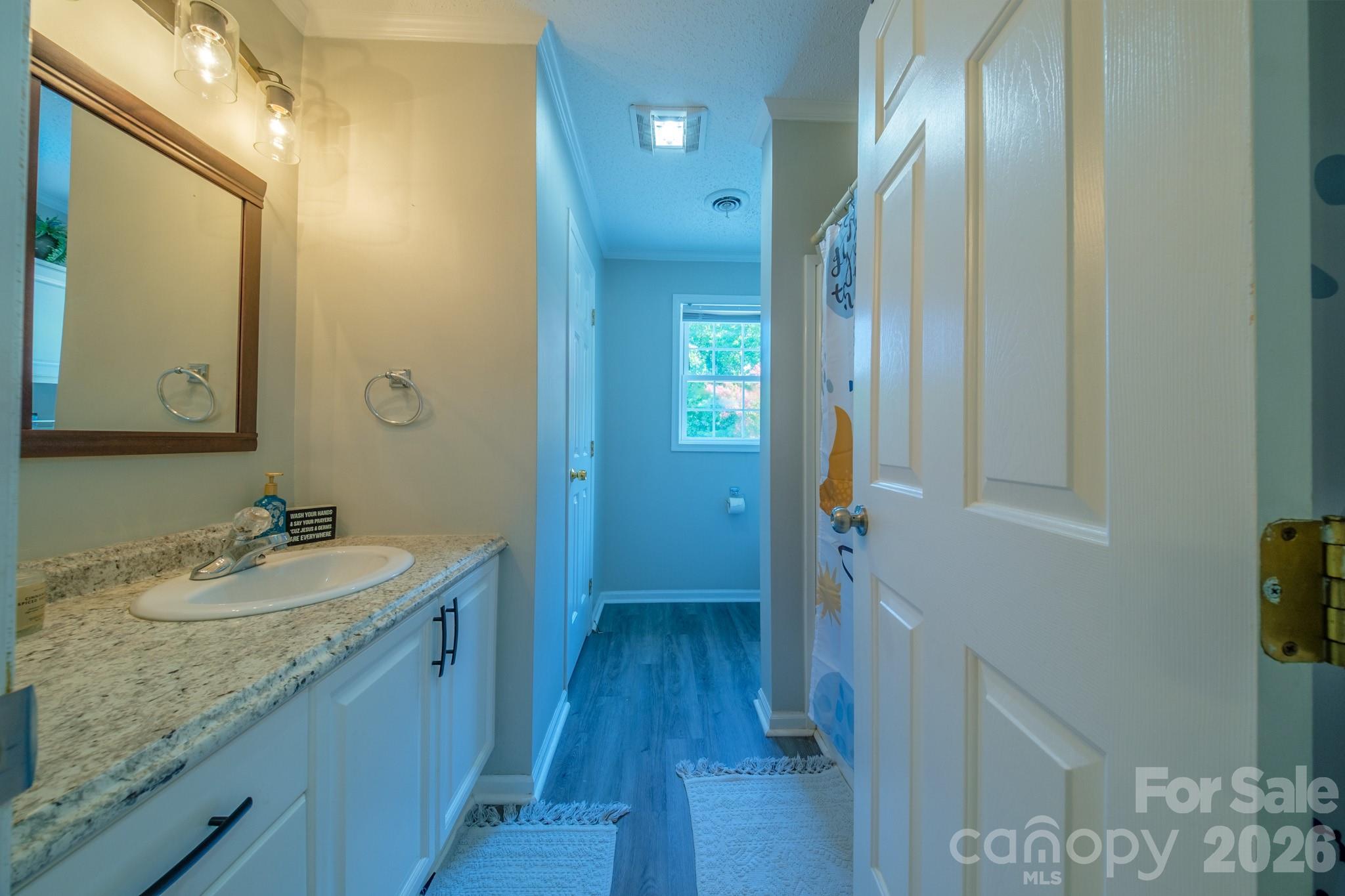 Single Family Residence at 117 Penicillin Point, Troutman, photo 19 of 44