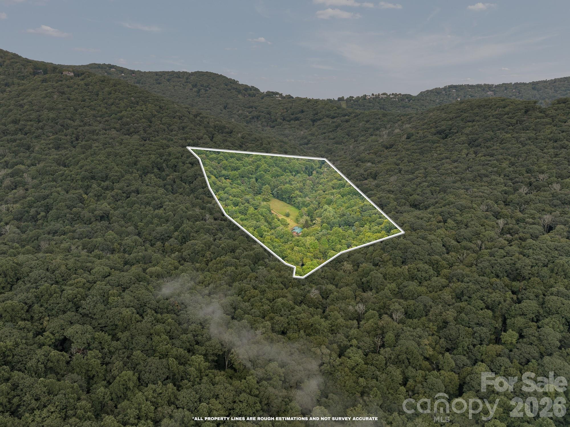 Property surrounded by Pisgah National Forest - 1061 Indian Trail Road, Mars Hill