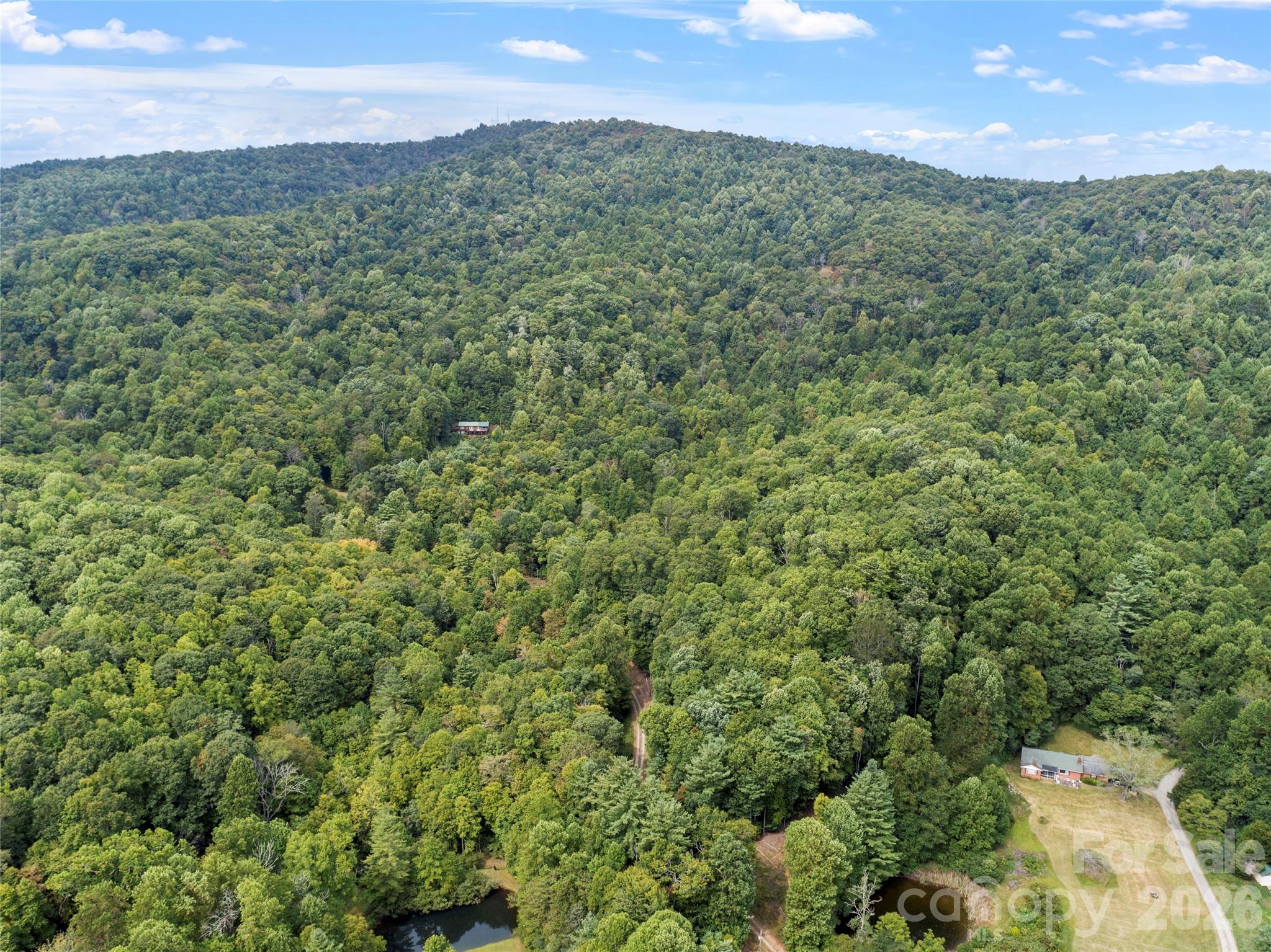 Acreage at 000 Pond Road, Spruce Pine, photo 8 of 14