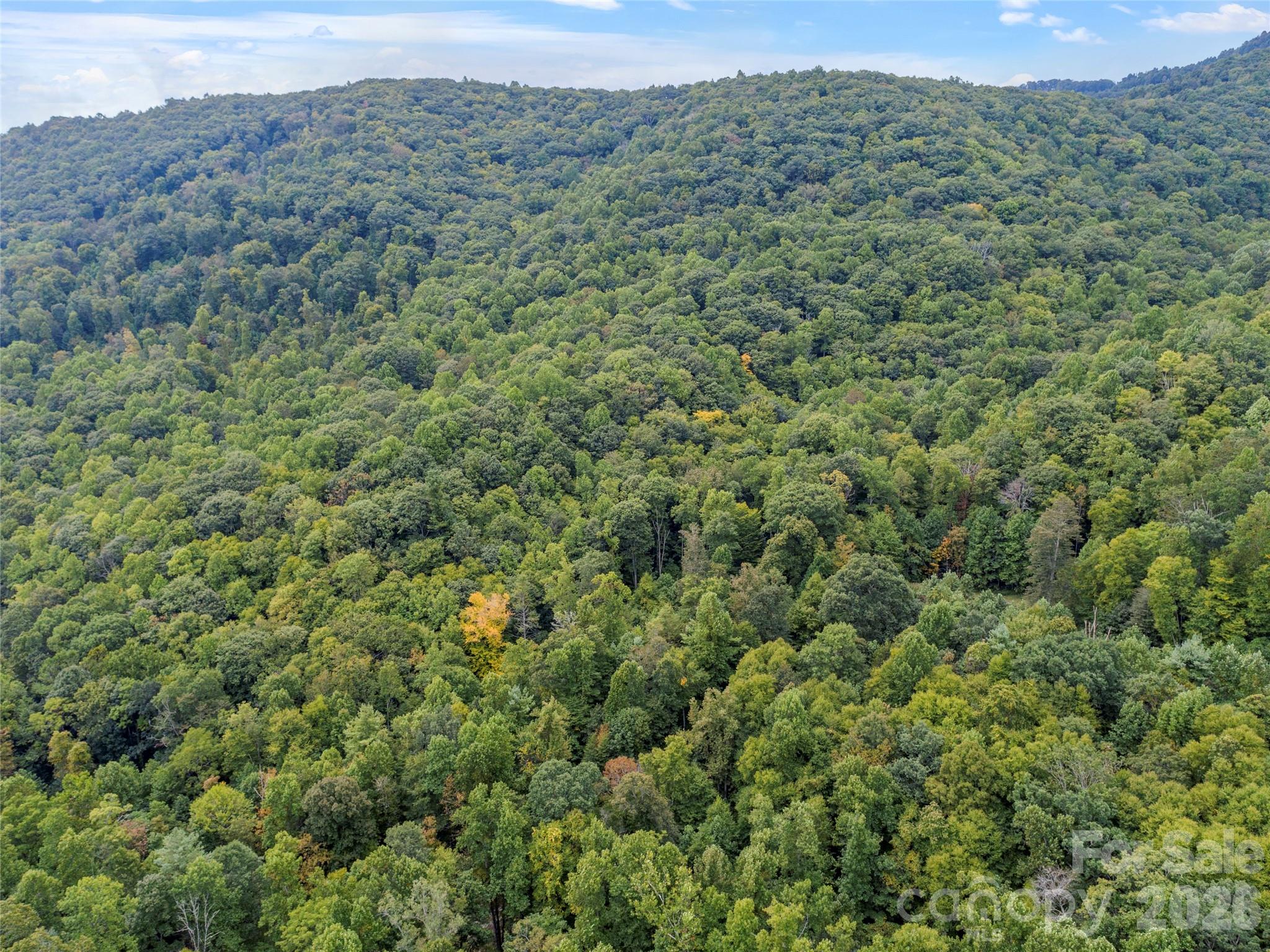 Acreage at 000 Pond Road, Spruce Pine, photo 10 of 14