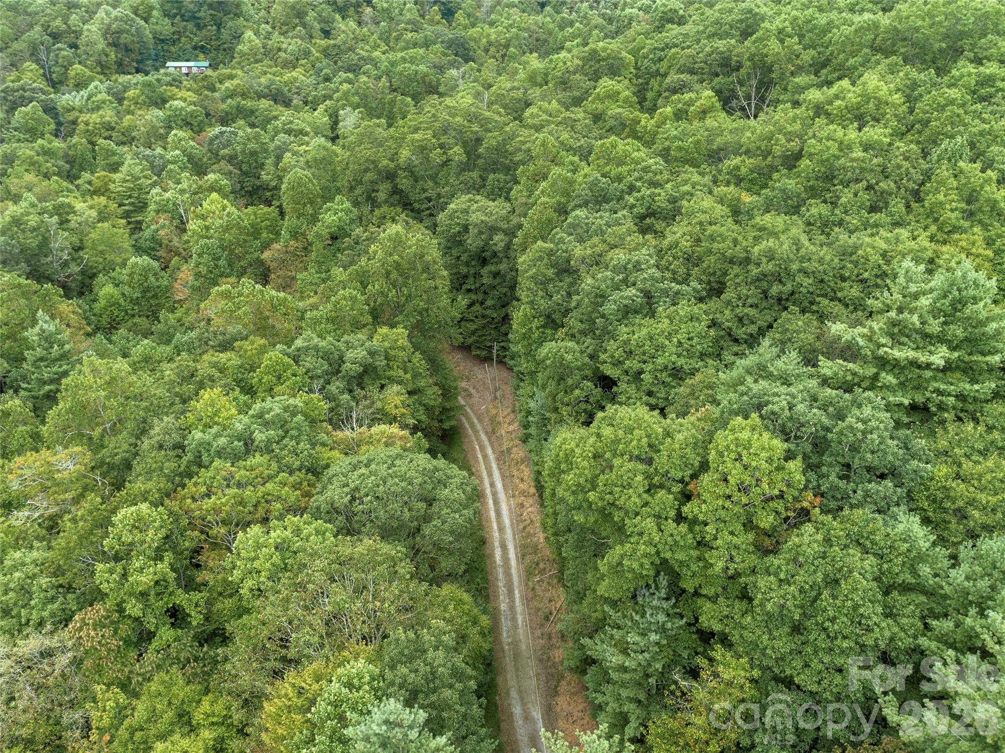 Acreage at 000 Pond Road, Spruce Pine, photo 11 of 14