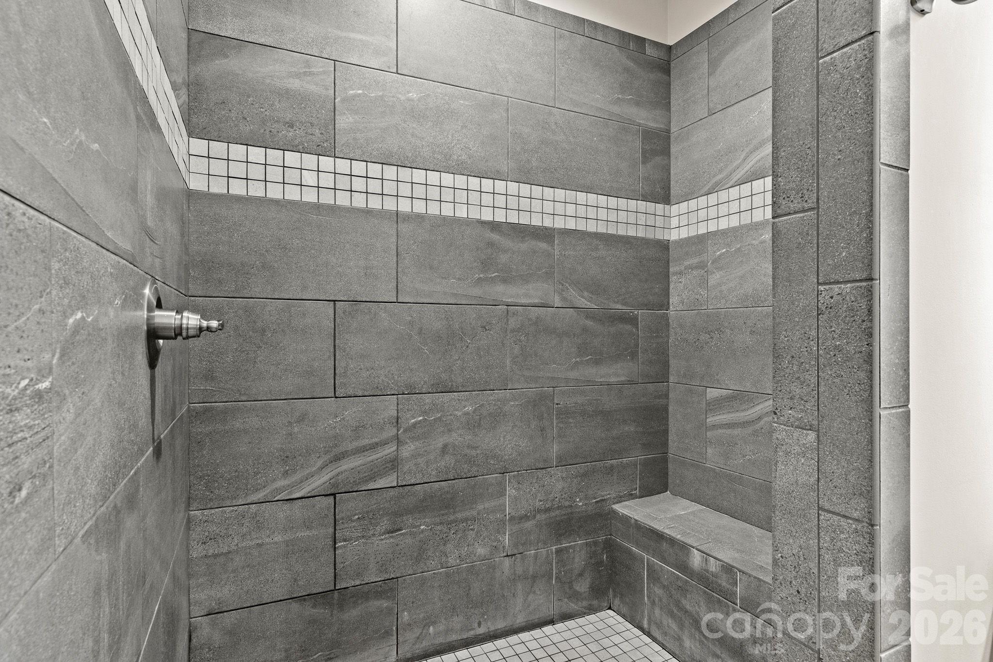 Walk in Shower - 206 N Harbor Watch Drive, Statesville