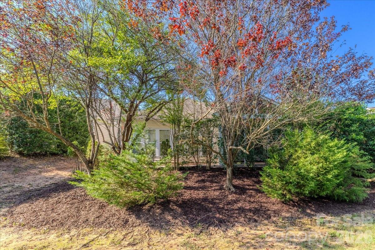 Mature Landscaping for Backyard Privacy - 36145 Watsonia Street, Indian Land