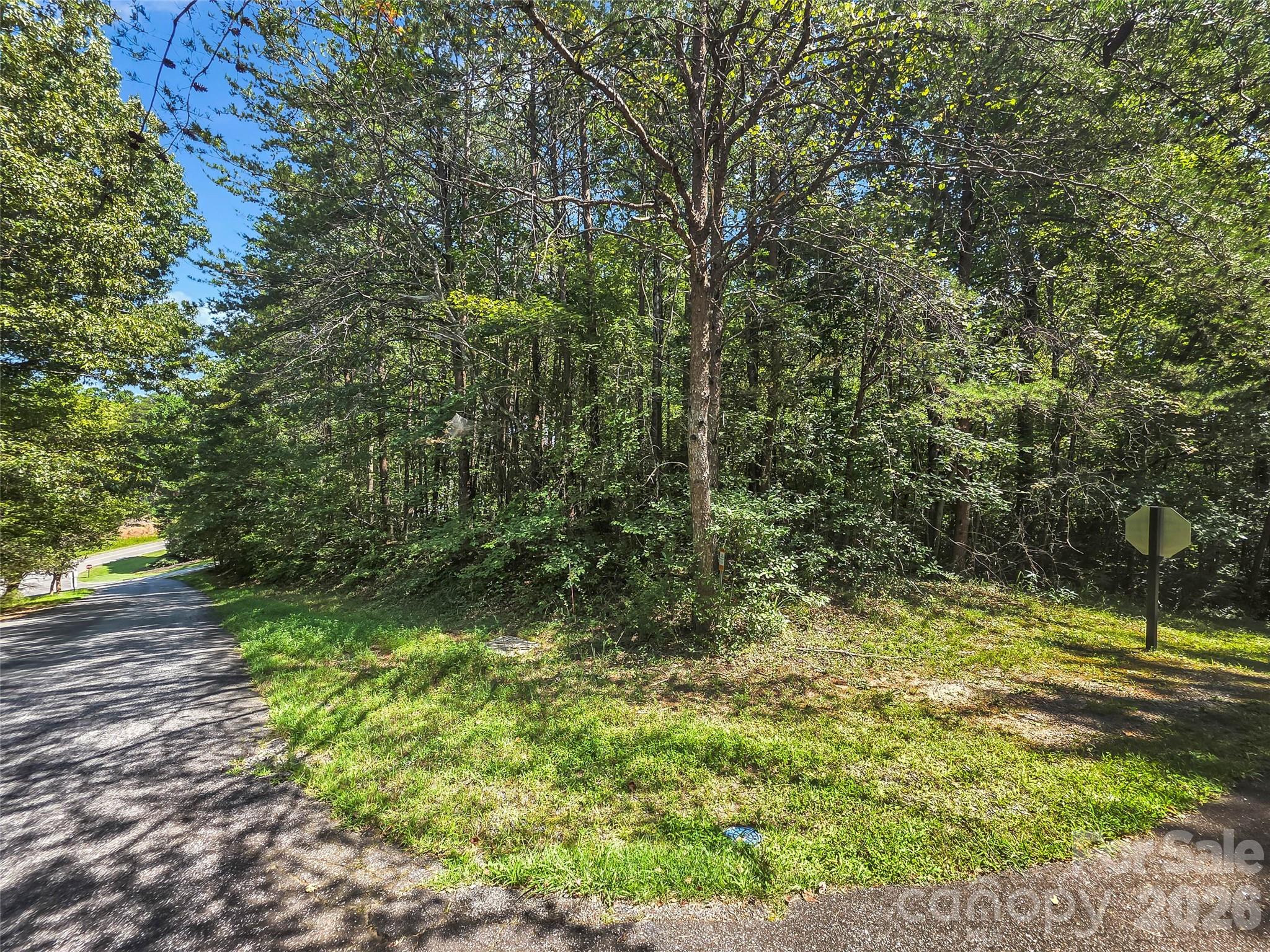 Lot at 0 Shumont Estates Drive, Lake Lure, photo 4 of 36
