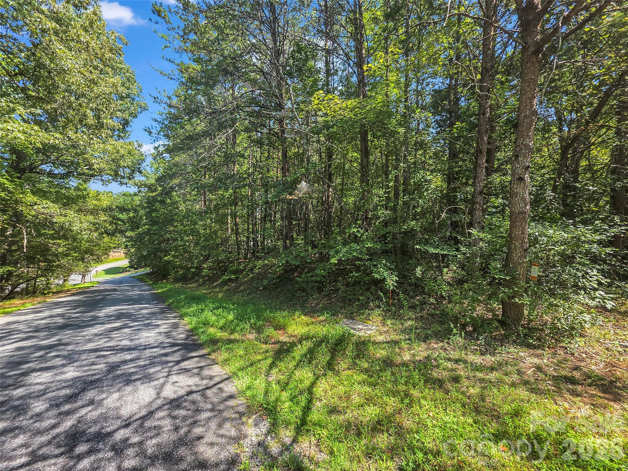 Lot at 0 Shumont Estates Drive, Lake Lure, photo 5 of 36