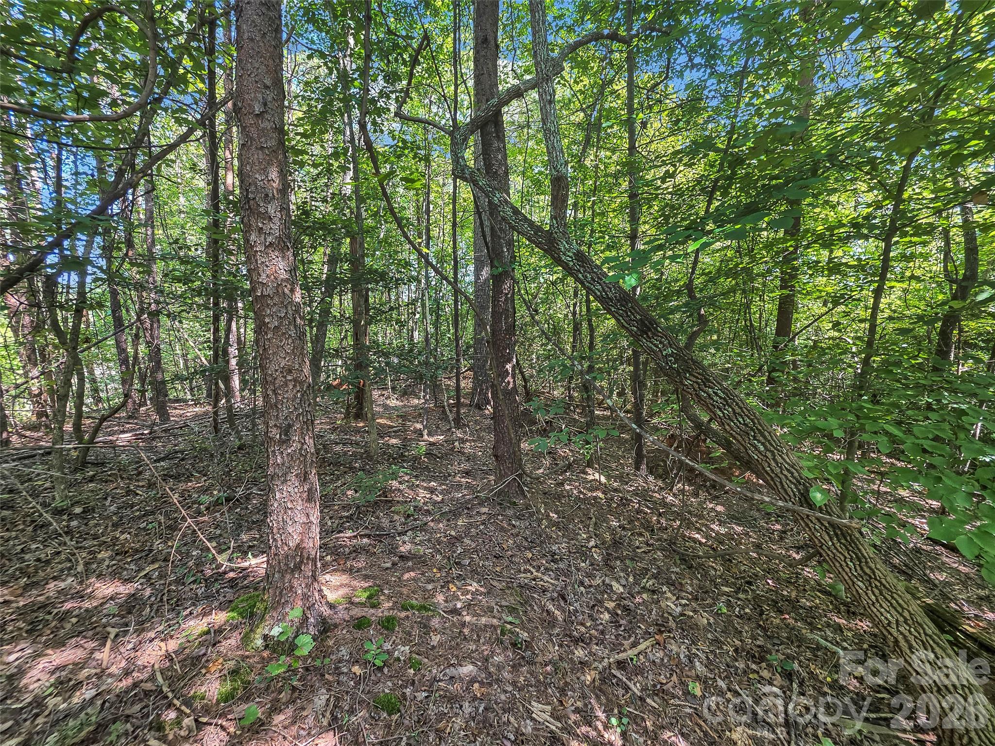 Lot at 0 Shumont Estates Drive, Lake Lure, photo 6 of 36