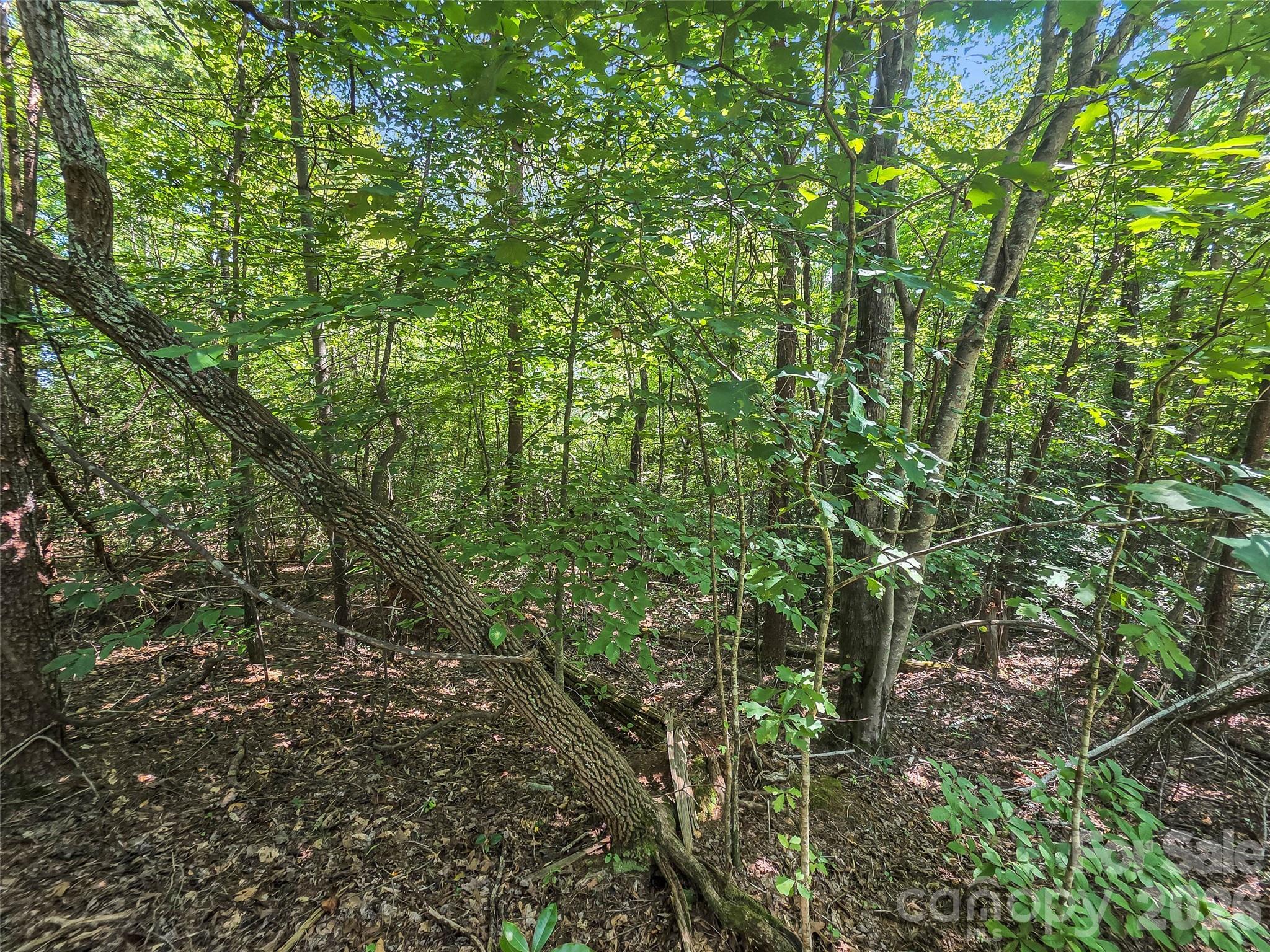 Lot at 0 Shumont Estates Drive, Lake Lure, photo 7 of 36
