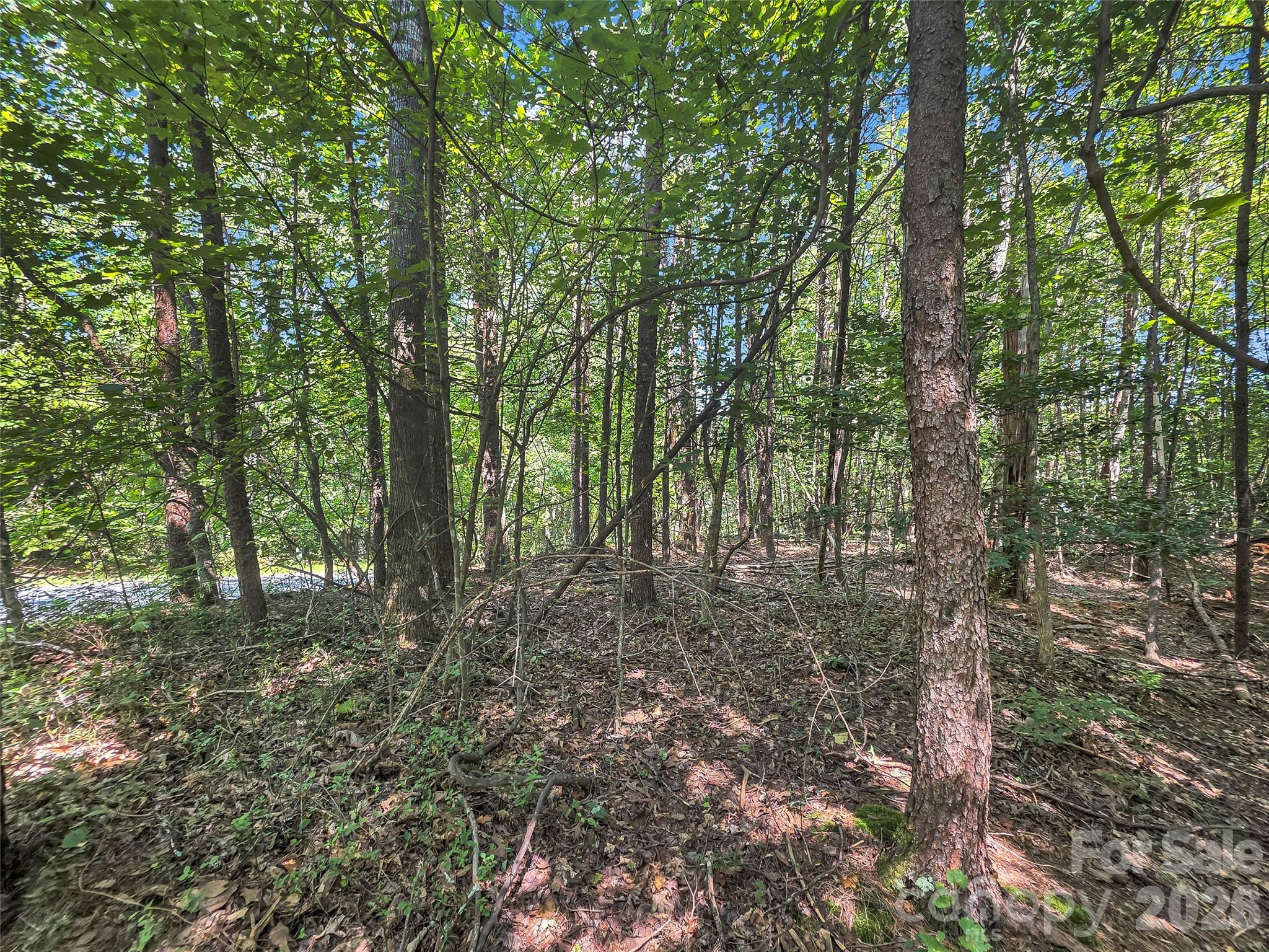 Lot at 0 Shumont Estates Drive, Lake Lure, photo 8 of 36
