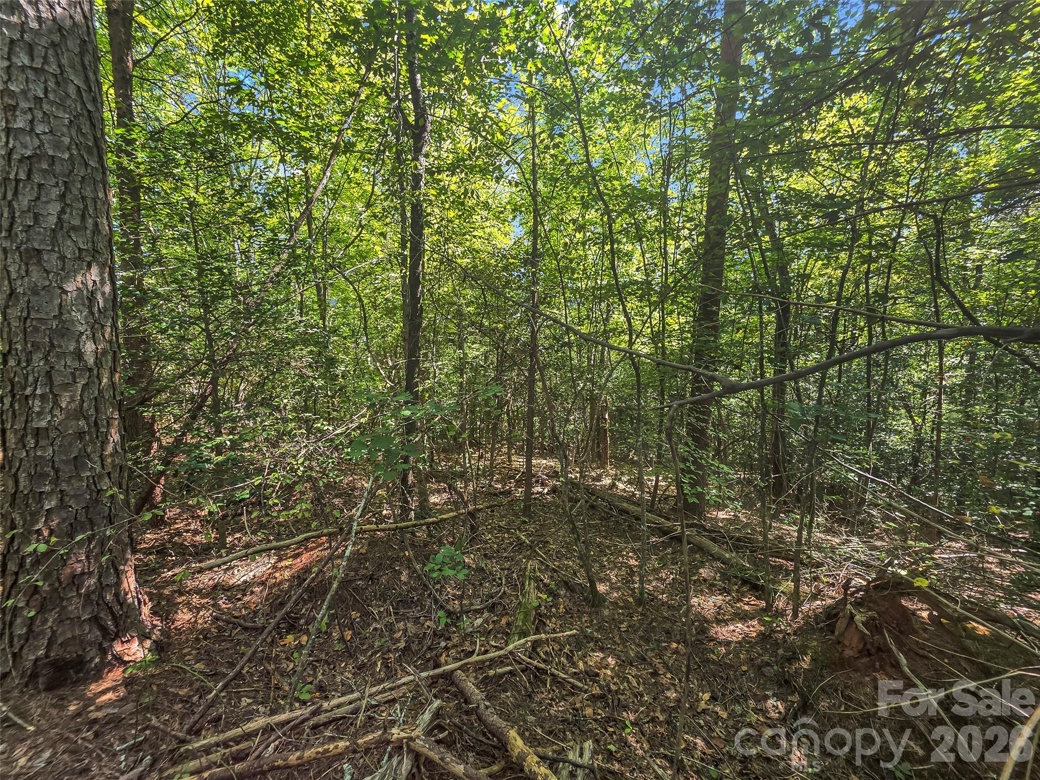 Lot at 0 Shumont Estates Drive, Lake Lure, photo 9 of 36