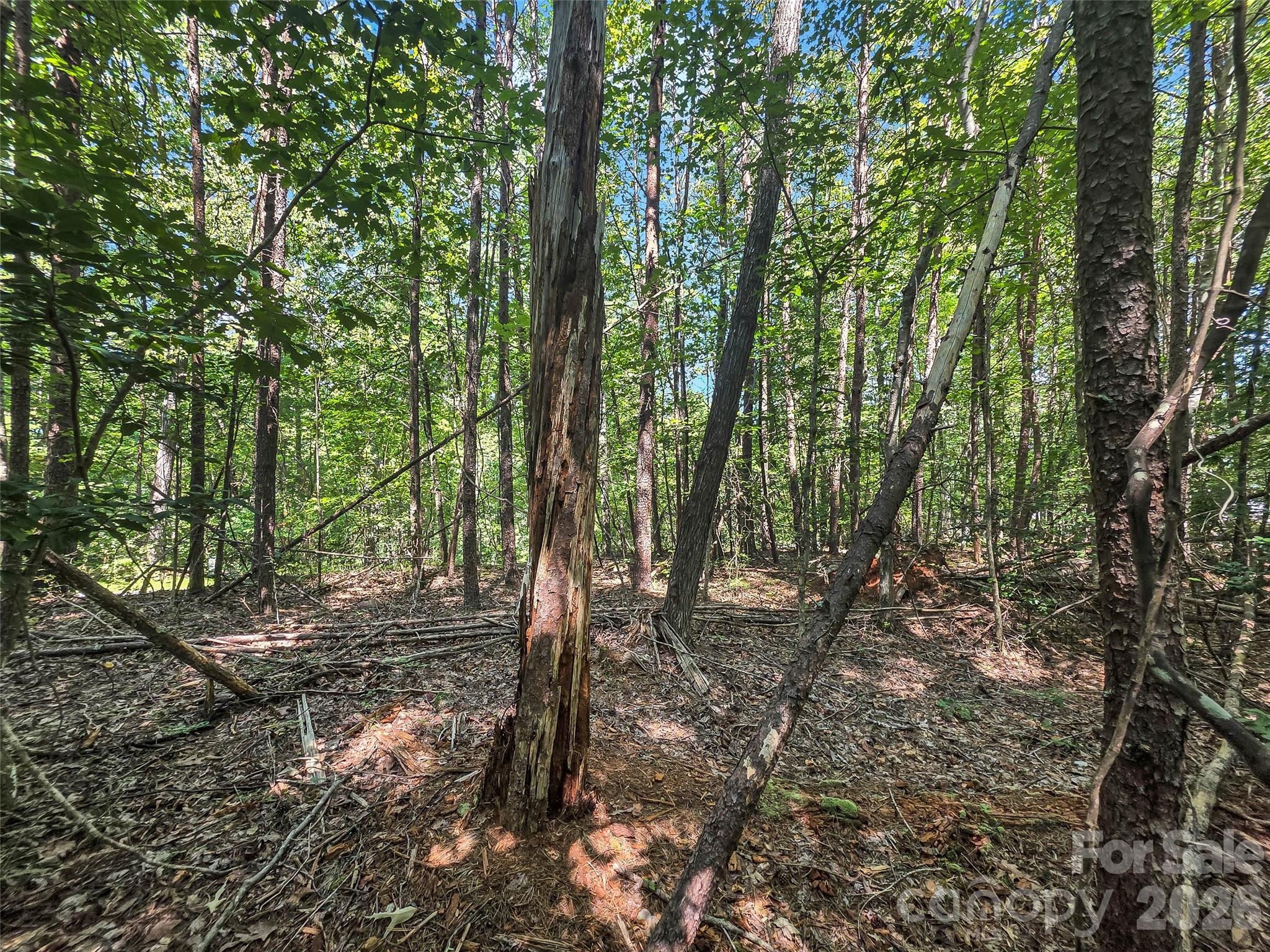 Lot at 0 Shumont Estates Drive, Lake Lure, photo 11 of 36