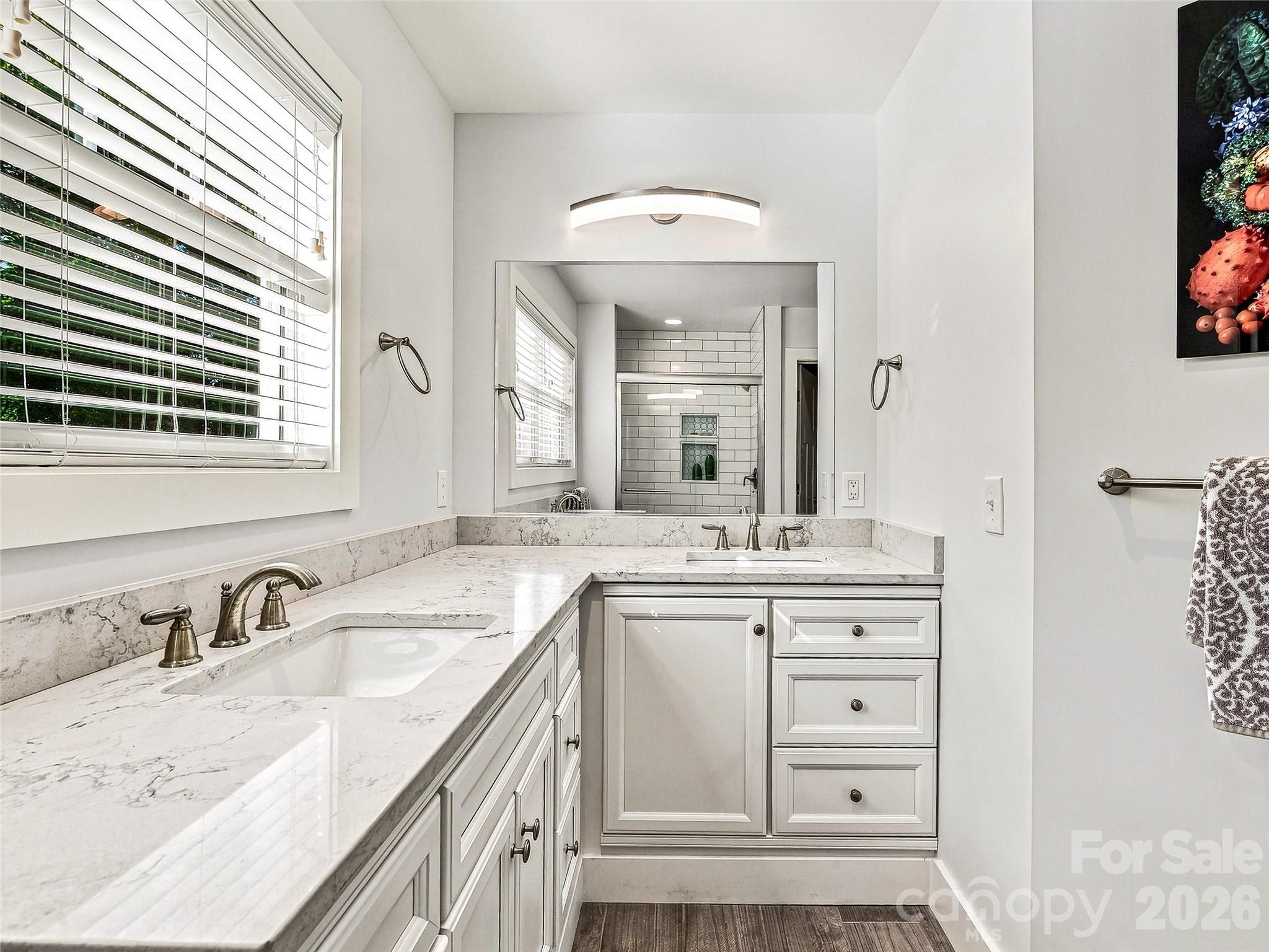 Primary bath main level - 141 Courtland Avenue, Asheville