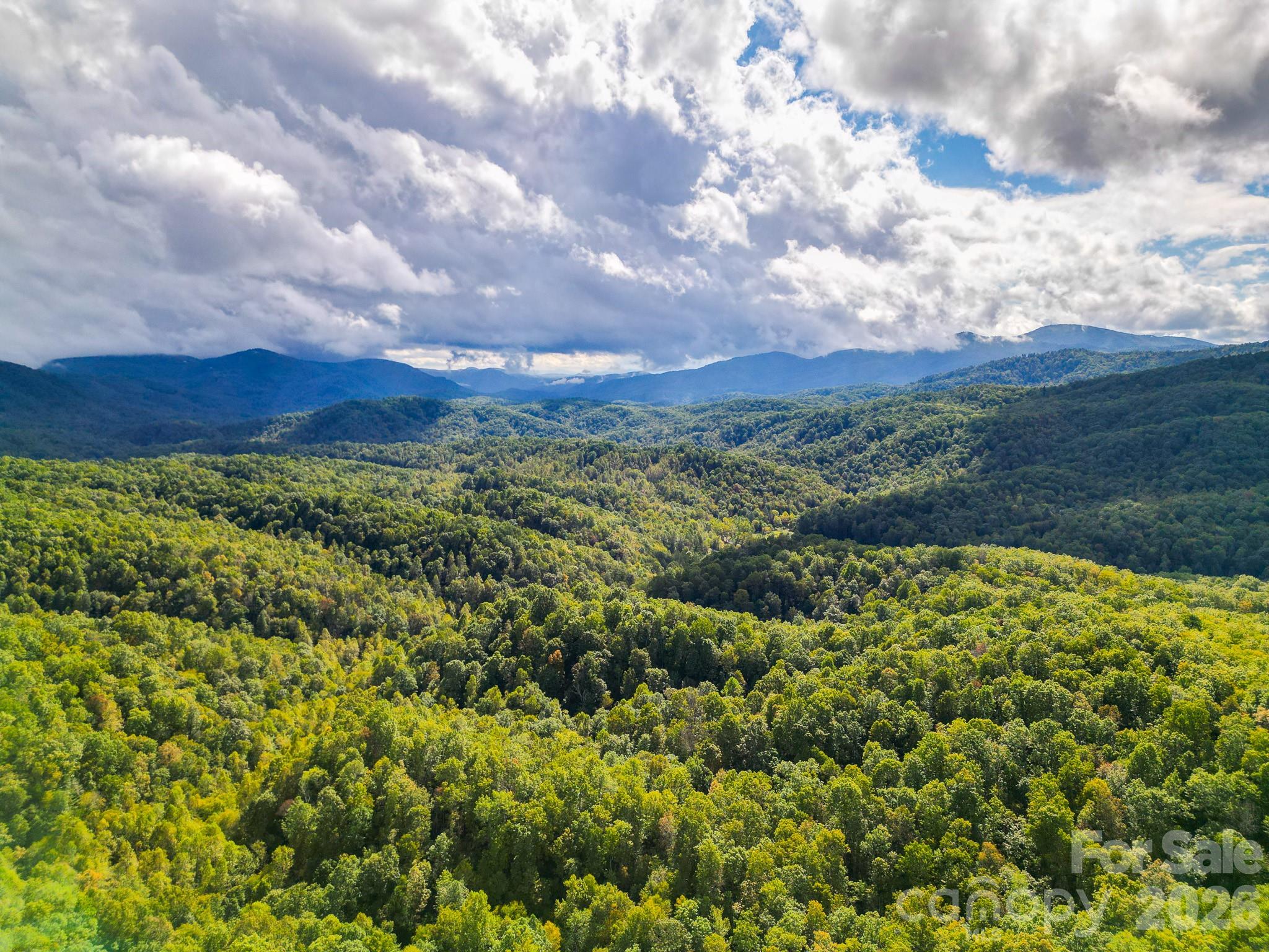 Acreage at 99999 Forest Brook Drive, Black Mountain, photo 2 of 15