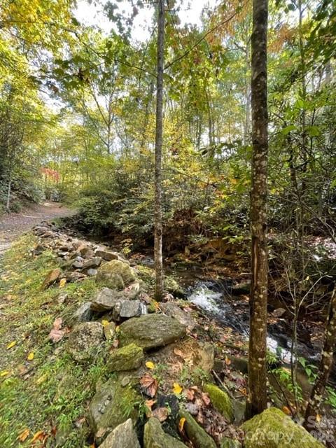 724 Blackgum Court