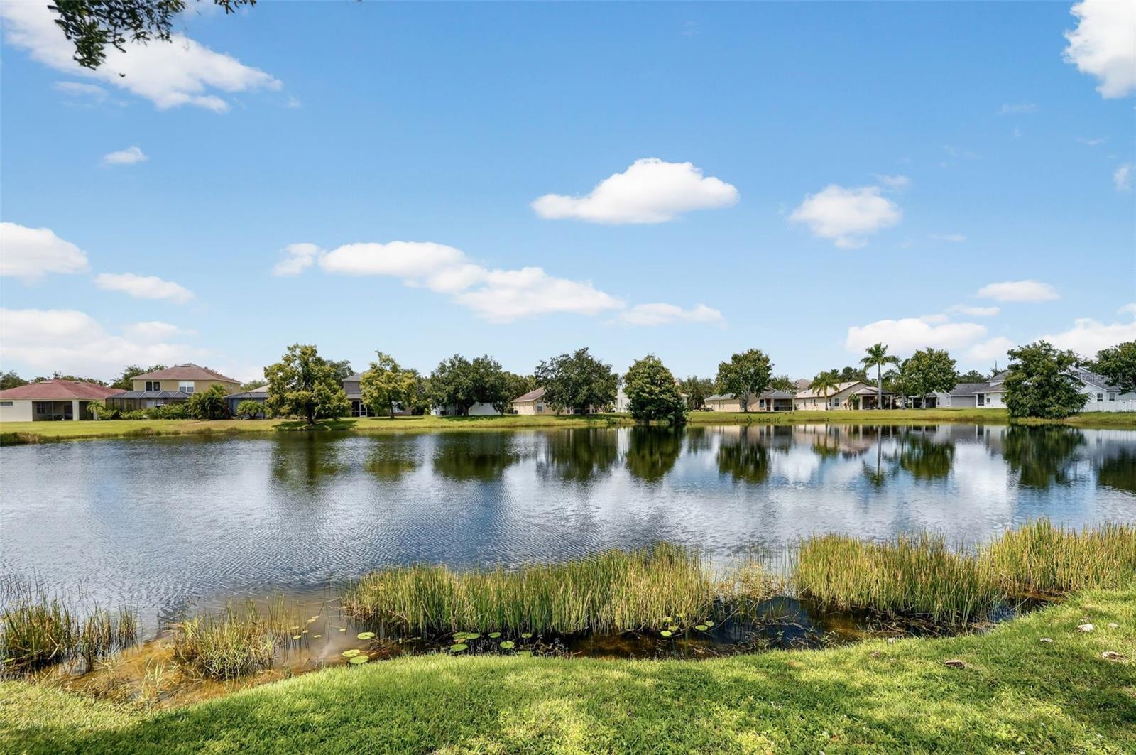 Single Family Residence at 6218 BLACKDRUM CT, BRADENTON, photo 50 of 65