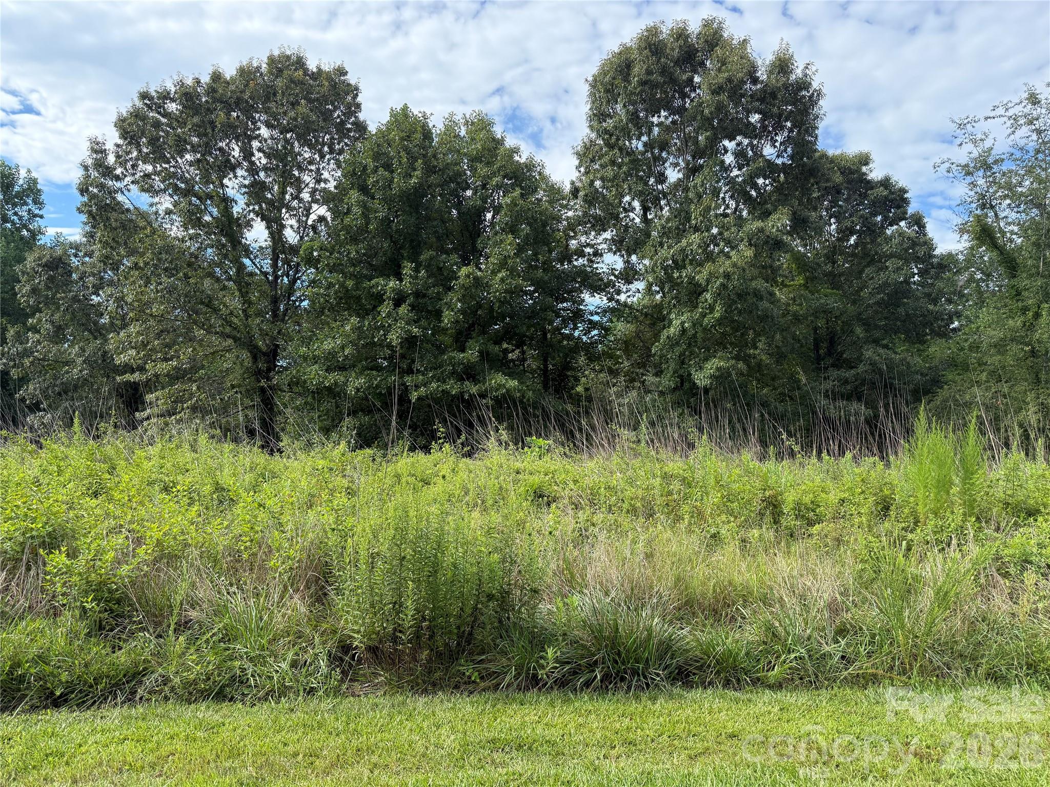 Lot at LOT 73 Ole Plantation Drive, Rutherfordton, photo 2 of 15