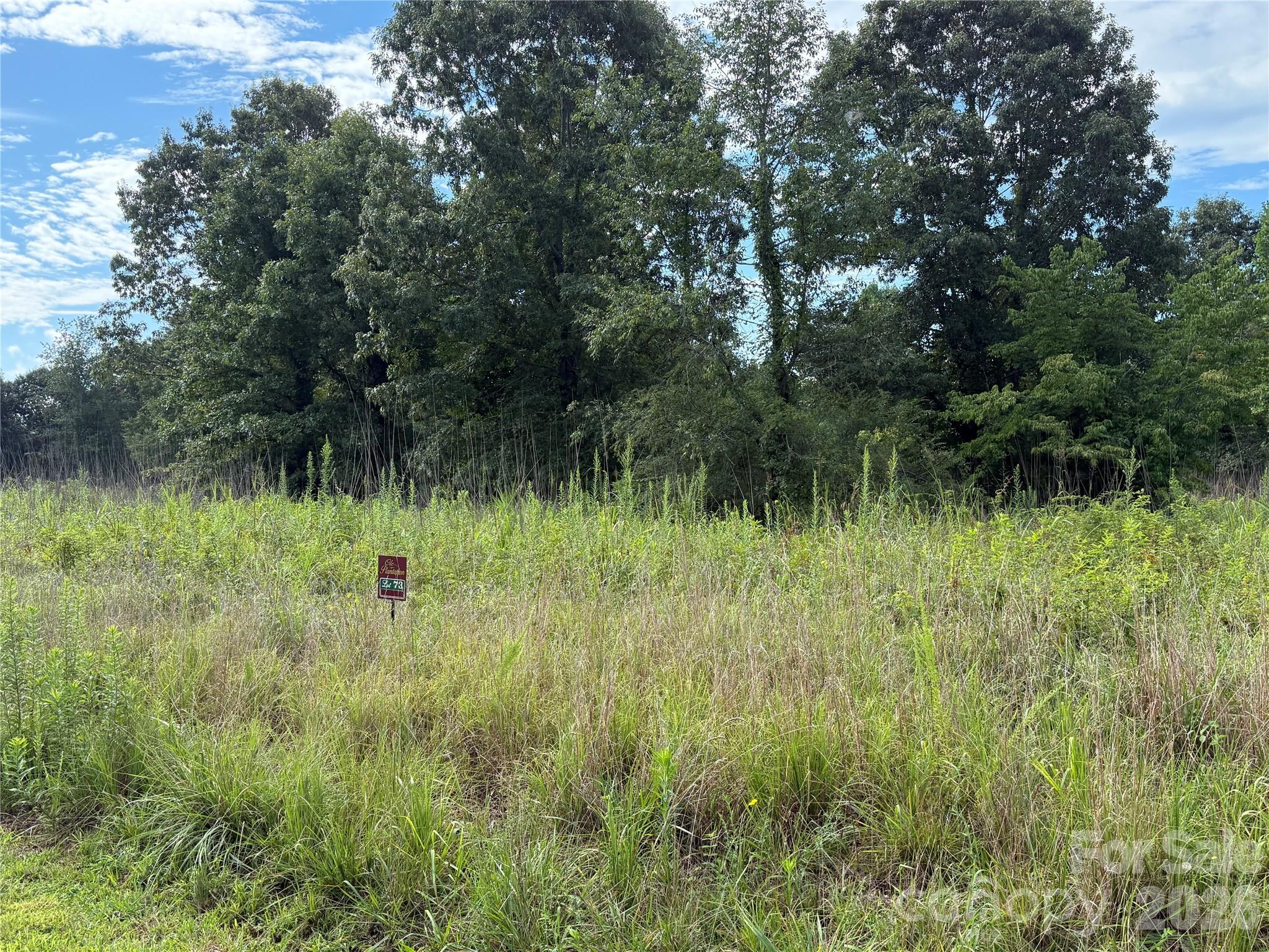 Lot at LOT 73 Ole Plantation Drive, Rutherfordton, photo 7 of 15