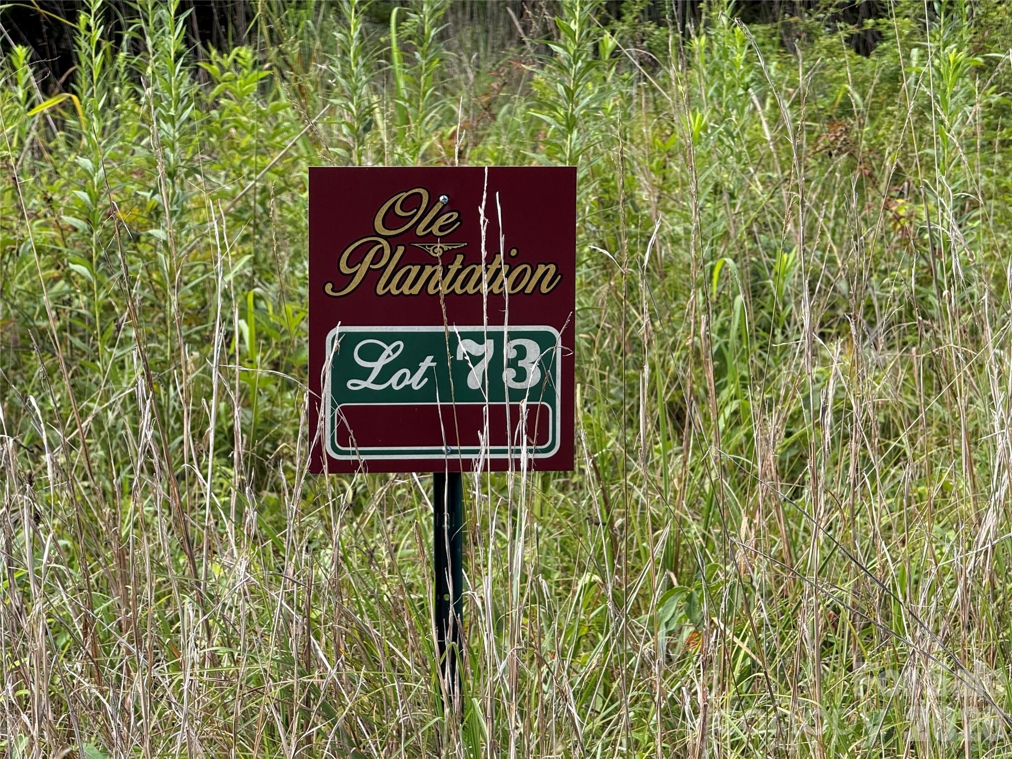 Lot at LOT 73 Ole Plantation Drive, Rutherfordton, photo 6 of 15