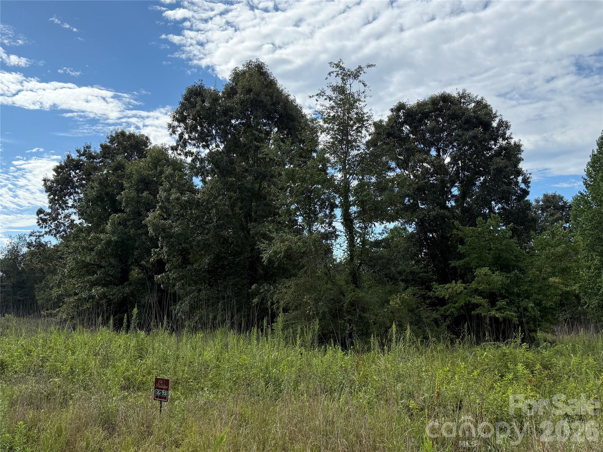 Lot at LOT 73 Ole Plantation Drive, Rutherfordton, photo 9 of 15
