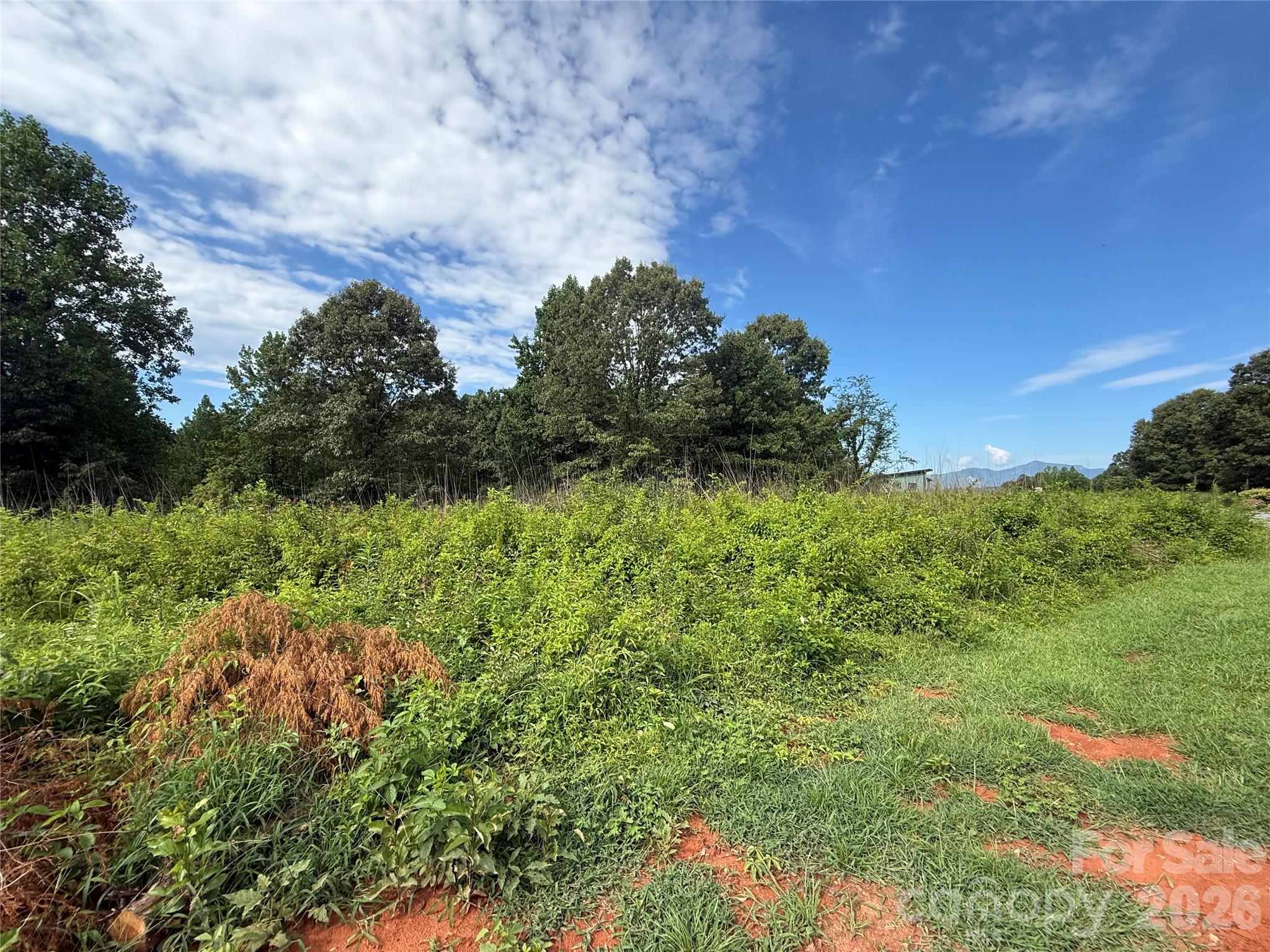 Lot at LOT 73 Ole Plantation Drive, Rutherfordton, photo 3 of 15