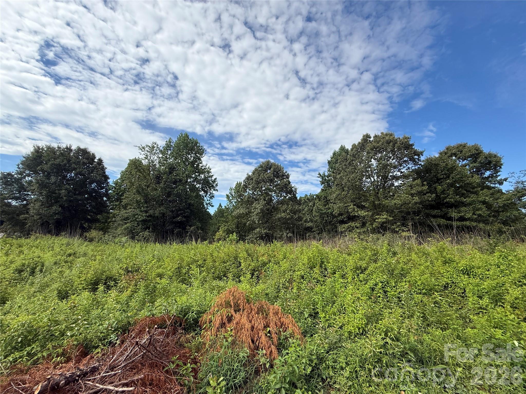 Lot at LOT 73 Ole Plantation Drive, Rutherfordton, photo 10 of 15