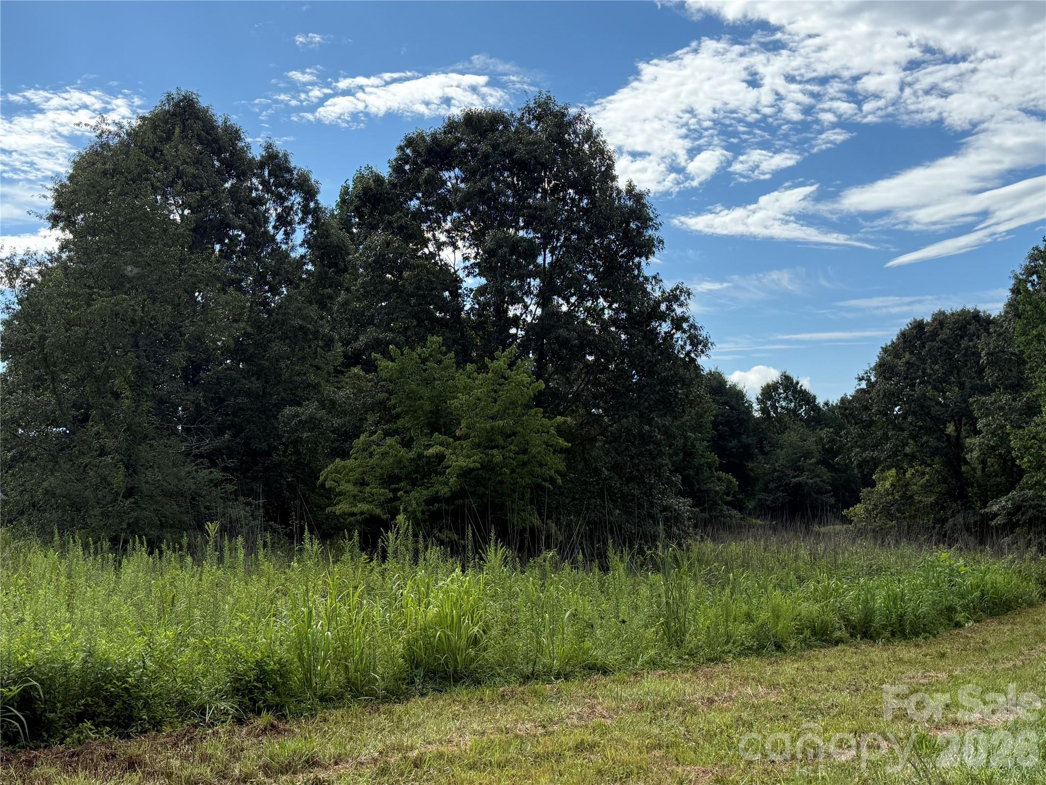 Lot at LOT 73 Ole Plantation Drive, Rutherfordton, photo 12 of 15