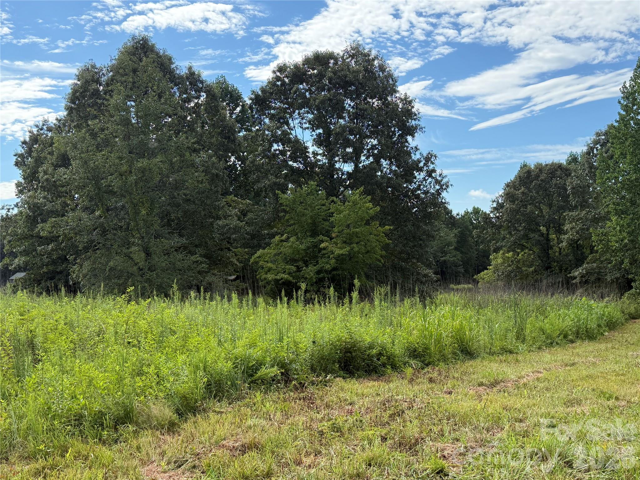 Lot at LOT 73 Ole Plantation Drive, Rutherfordton, photo 13 of 15