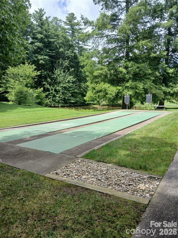 Shuffleboard - 304 red oak Drive, Hendersonville