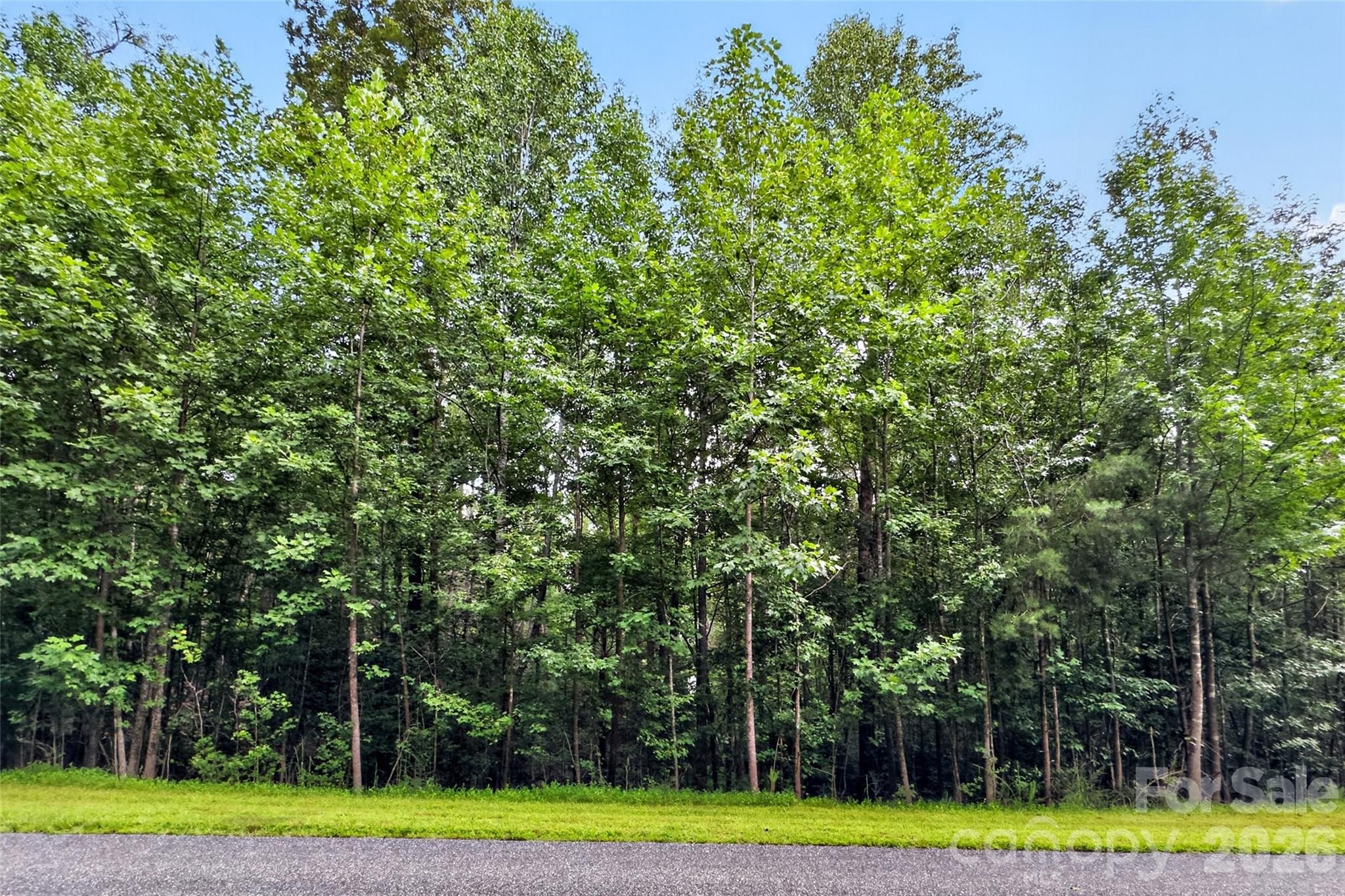 Lot at 360 Harborside Drive, Nebo, photo 3 of 35