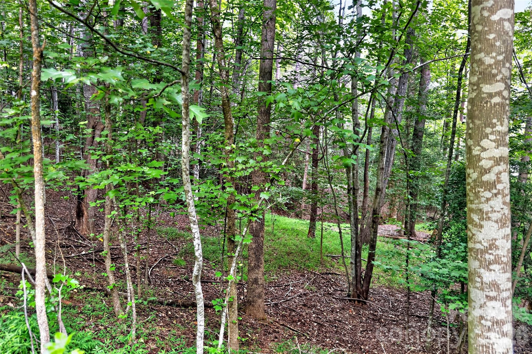 Lot at 360 Harborside Drive, Nebo, photo 6 of 35