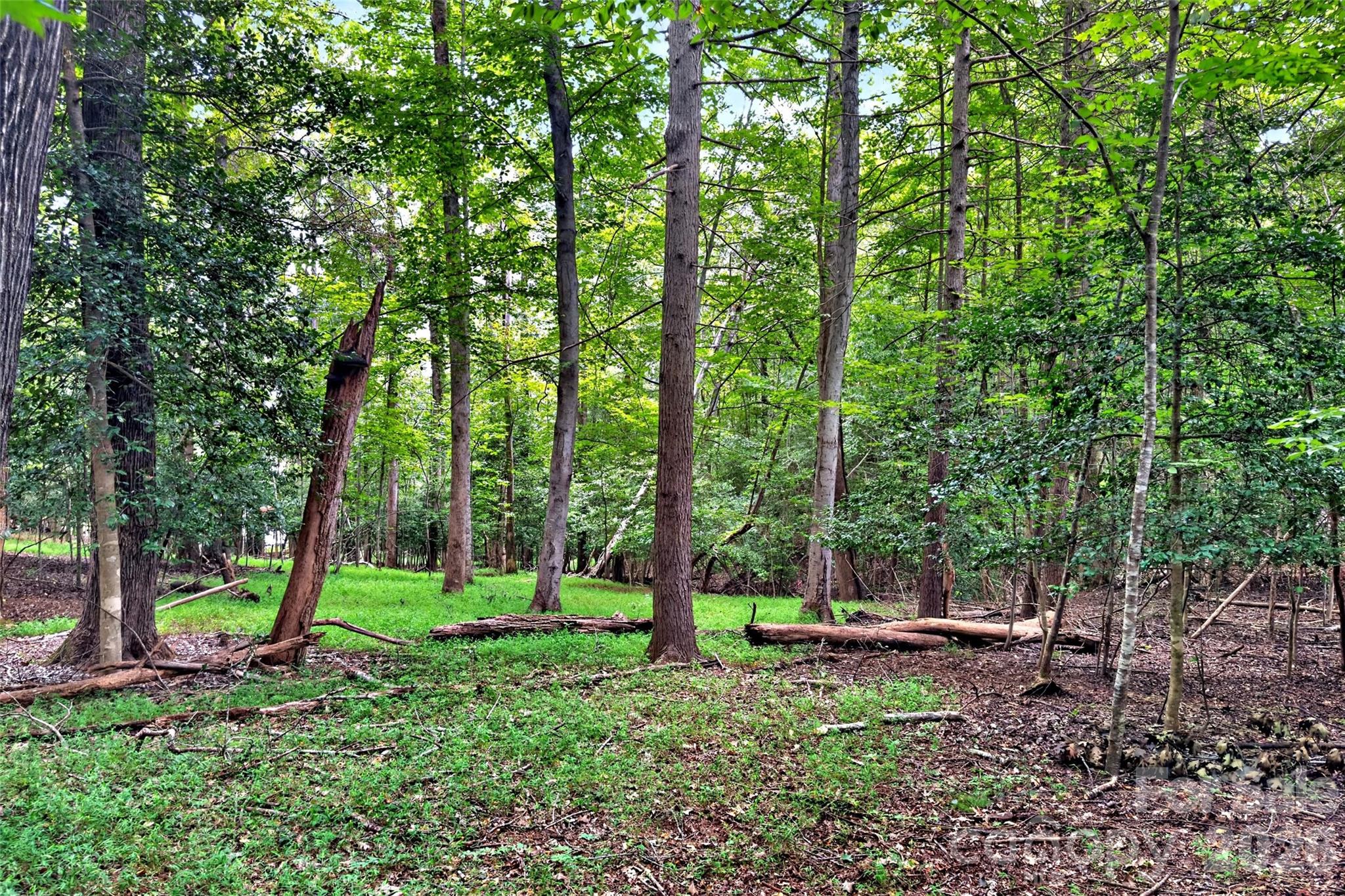 Lot at 360 Harborside Drive, Nebo, photo 7 of 35