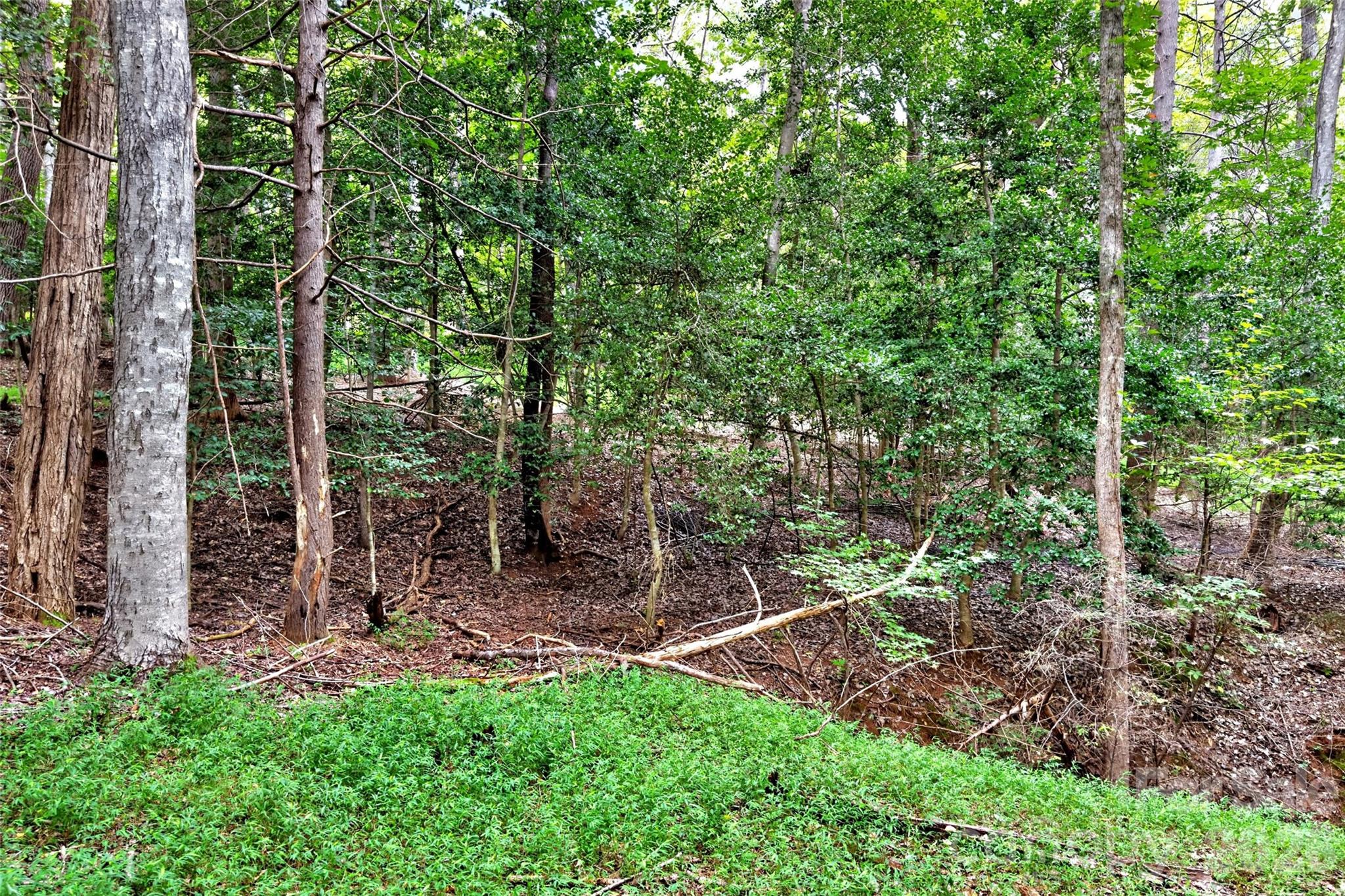 Lot at 360 Harborside Drive, Nebo, photo 8 of 35