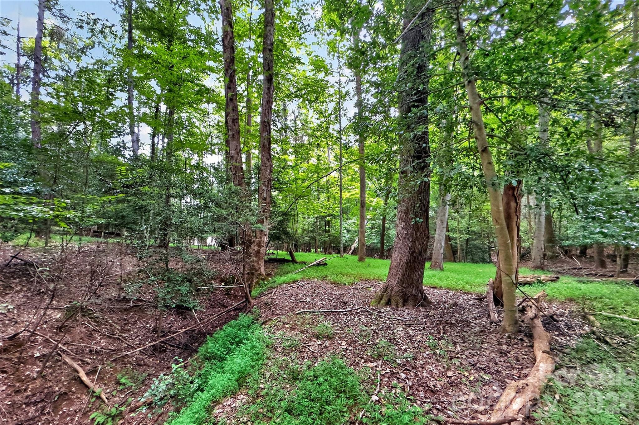 Lot at 360 Harborside Drive, Nebo, photo 9 of 35