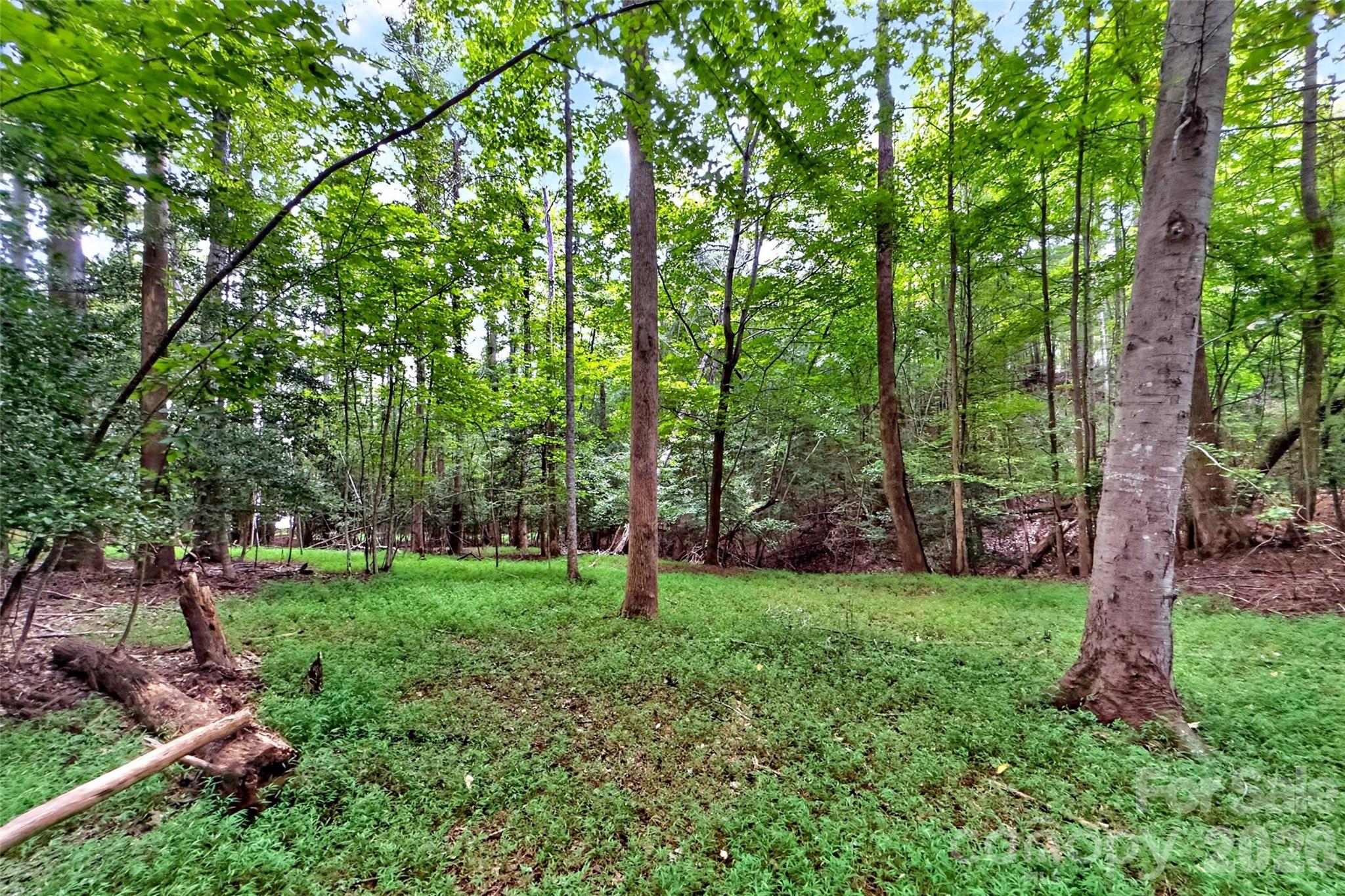 Lot at 360 Harborside Drive, Nebo, photo 10 of 35