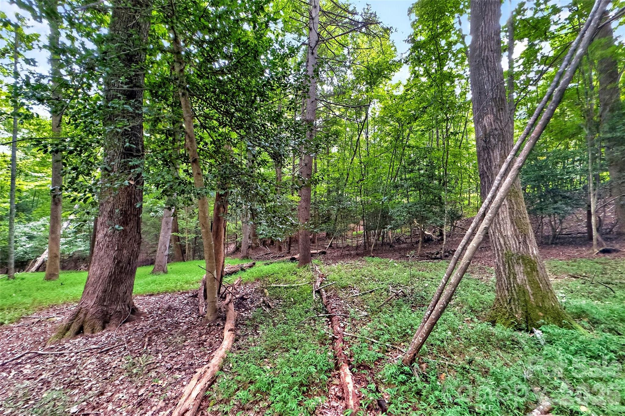 Lot at 360 Harborside Drive, Nebo, photo 11 of 35