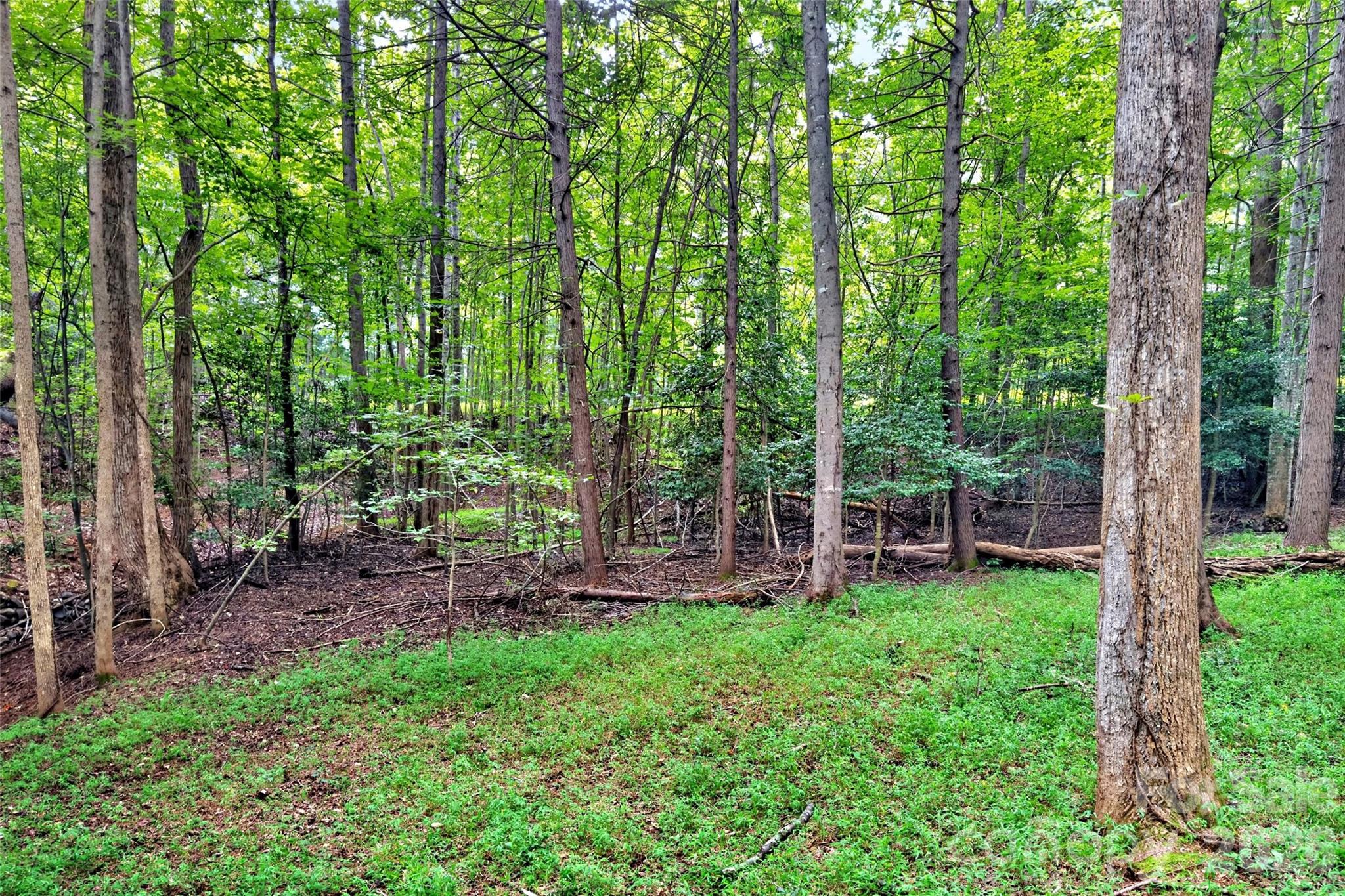 Lot at 360 Harborside Drive, Nebo, photo 12 of 35