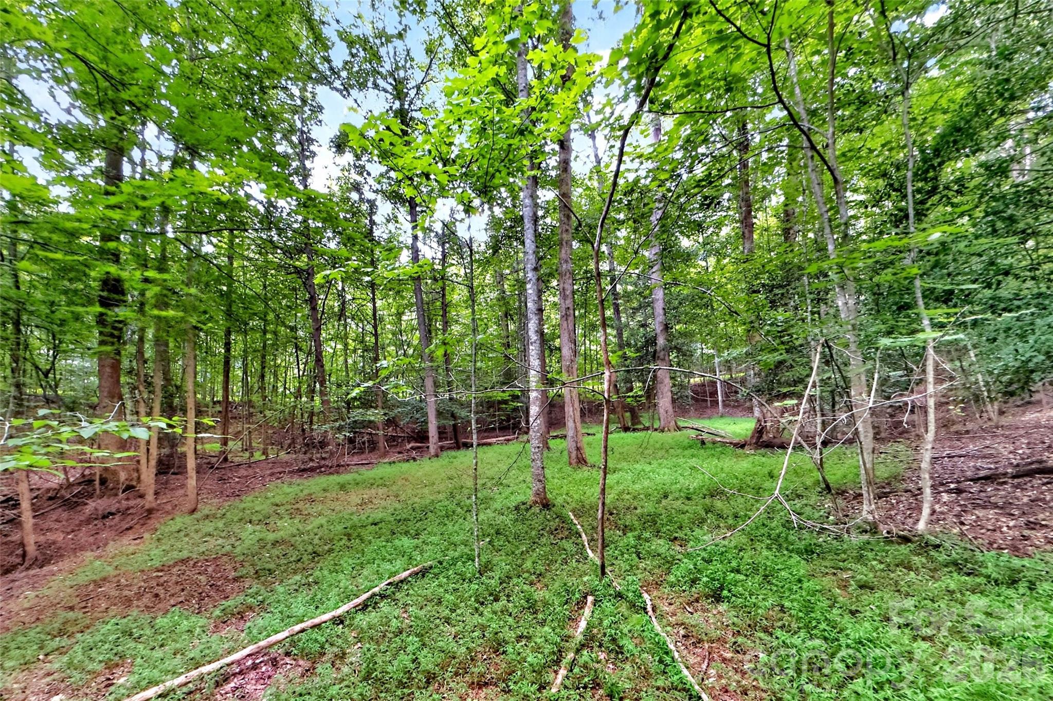Lot at 360 Harborside Drive, Nebo, photo 13 of 35