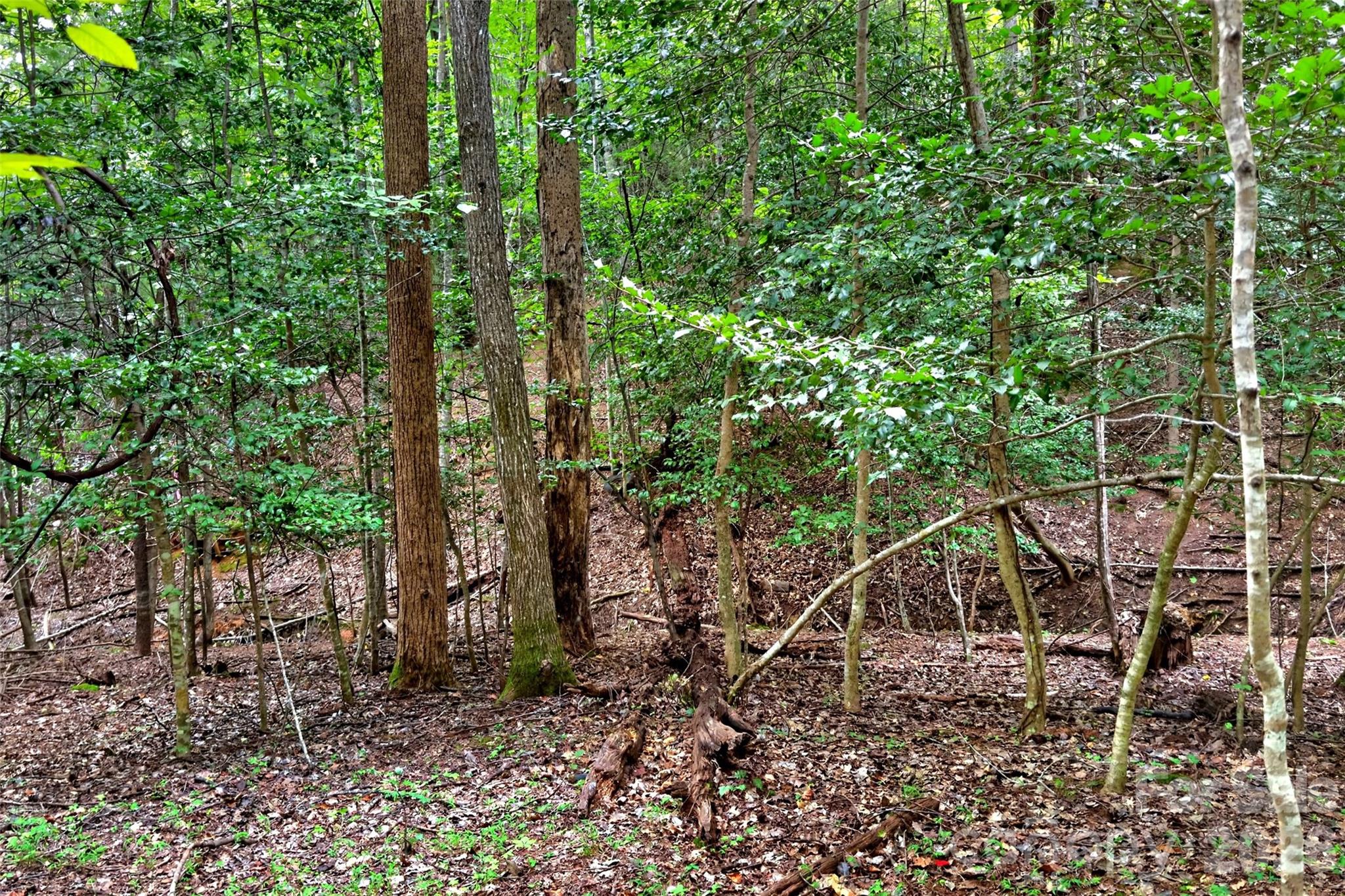 Lot at 360 Harborside Drive, Nebo, photo 14 of 35