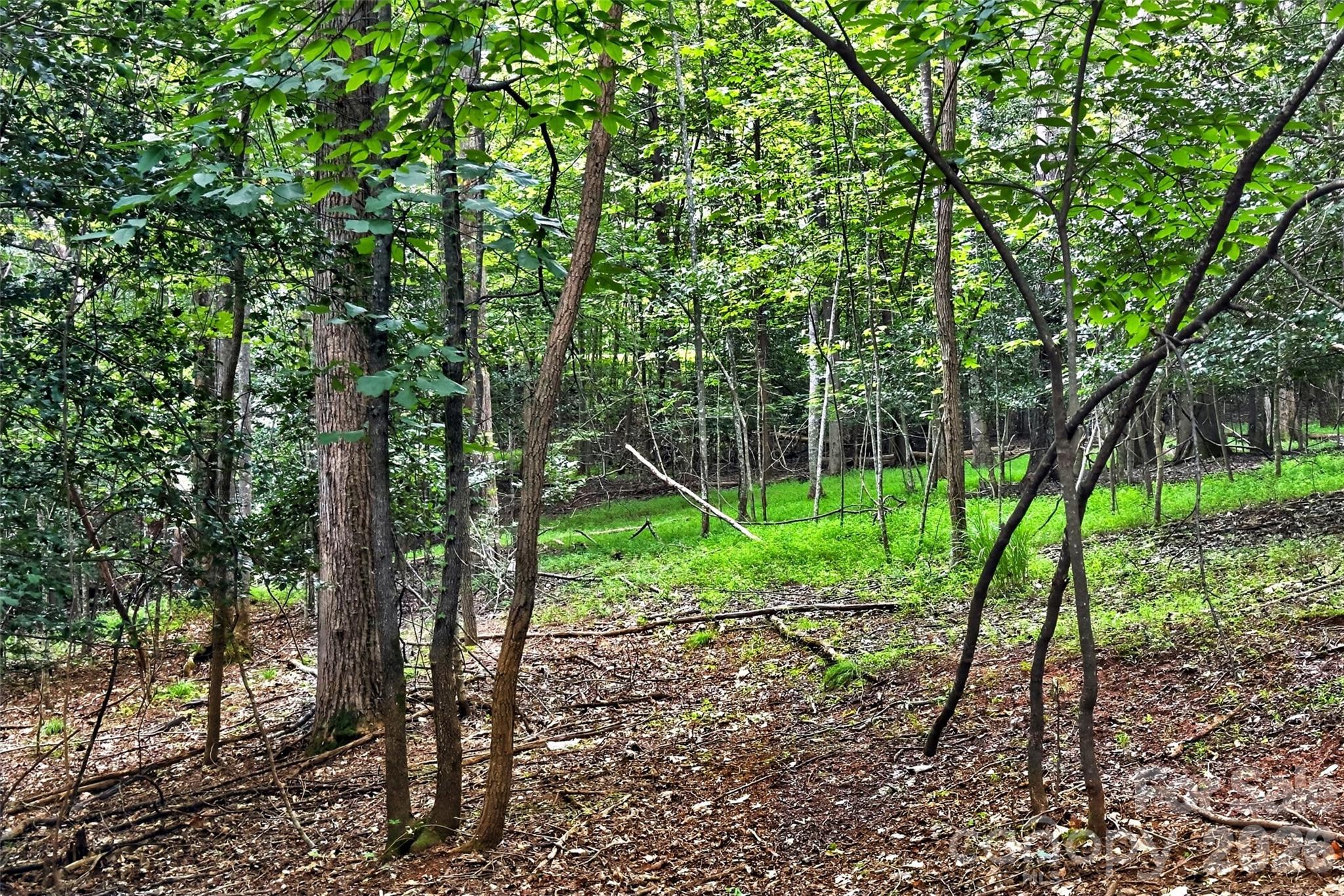 Lot at 360 Harborside Drive, Nebo, photo 15 of 35