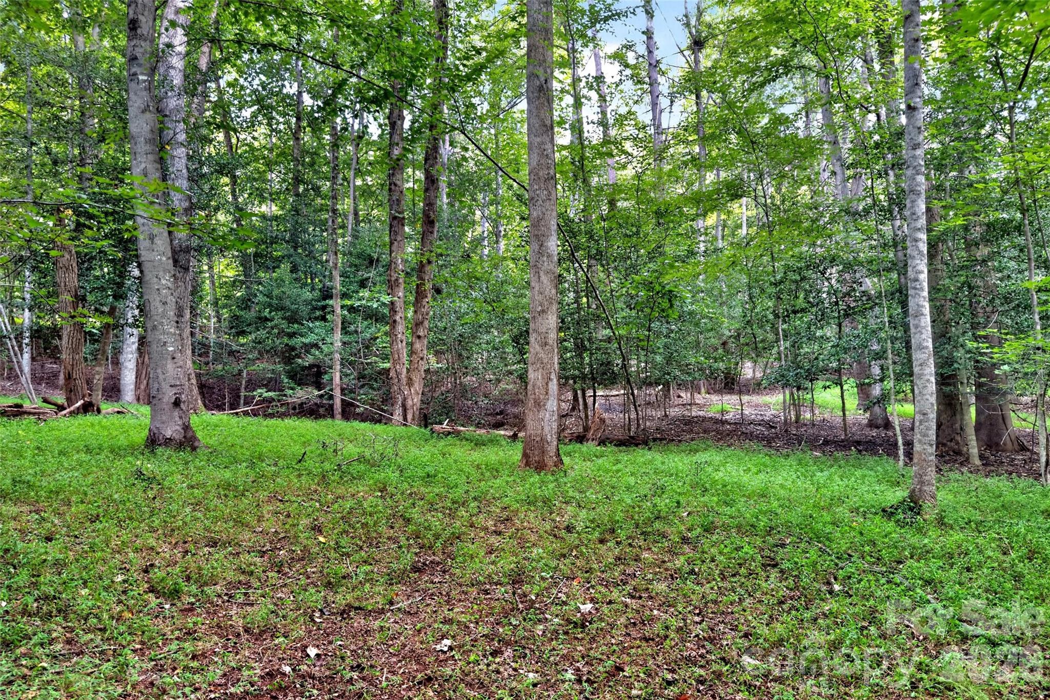 Lot at 360 Harborside Drive, Nebo, photo 16 of 35