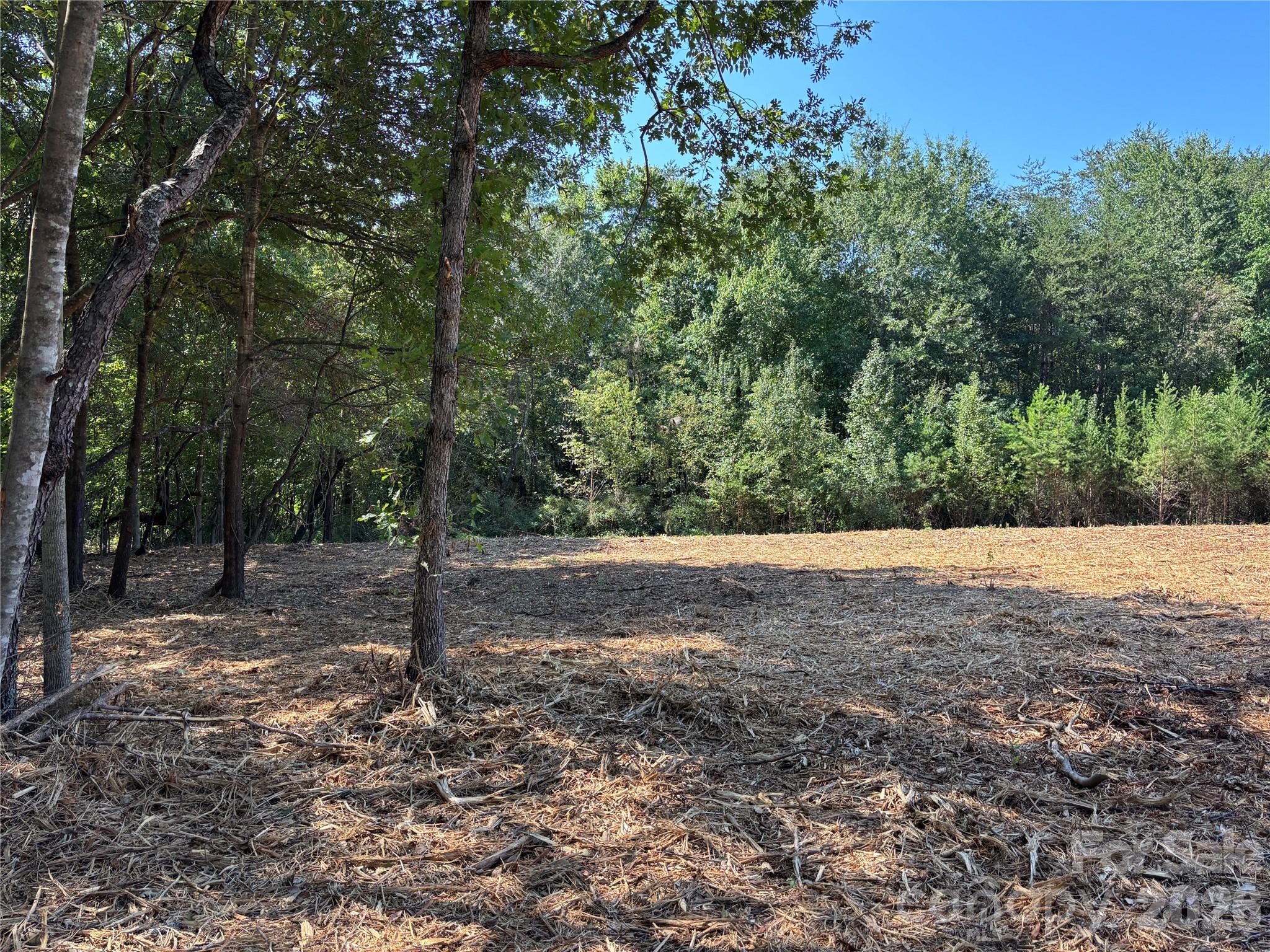 Acreage at 2923 Doc Pugh Road, Connelly Springs, photo 15 of 17