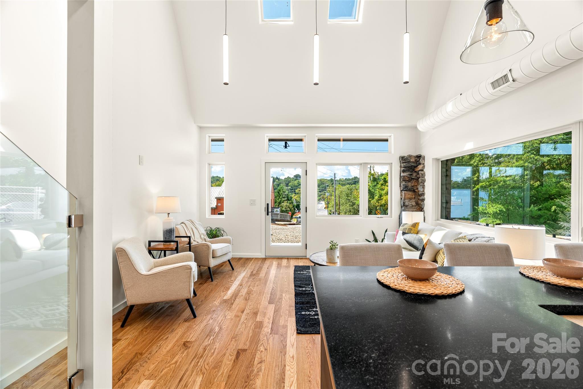 Modern lighting and skylights. - 4 Roberts Street, Asheville