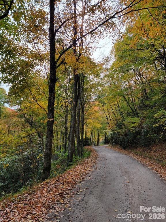 Road leading to the subdivision - 24 Tater Patch Road, Maggie Valley