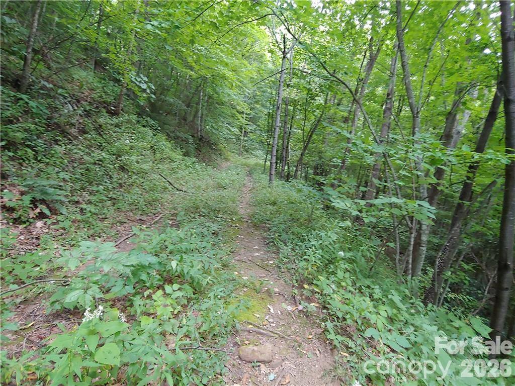Acreage at 24 Tater Patch Road, Maggie Valley, photo 4 of 46