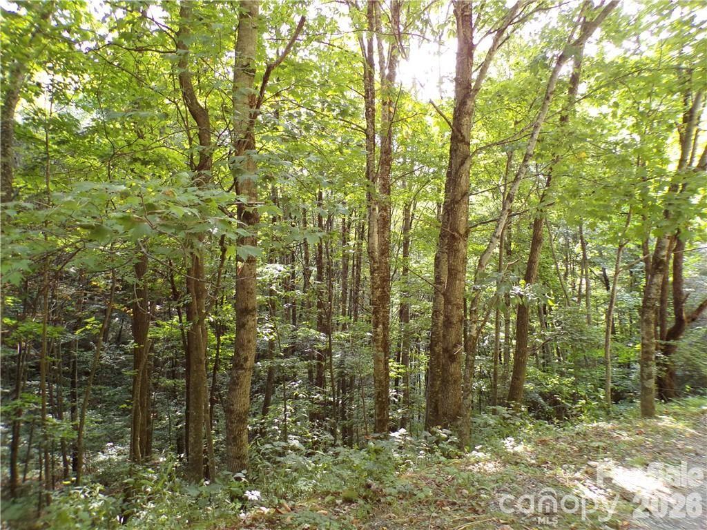 Acreage at 24 Tater Patch Road, Maggie Valley, photo 9 of 46